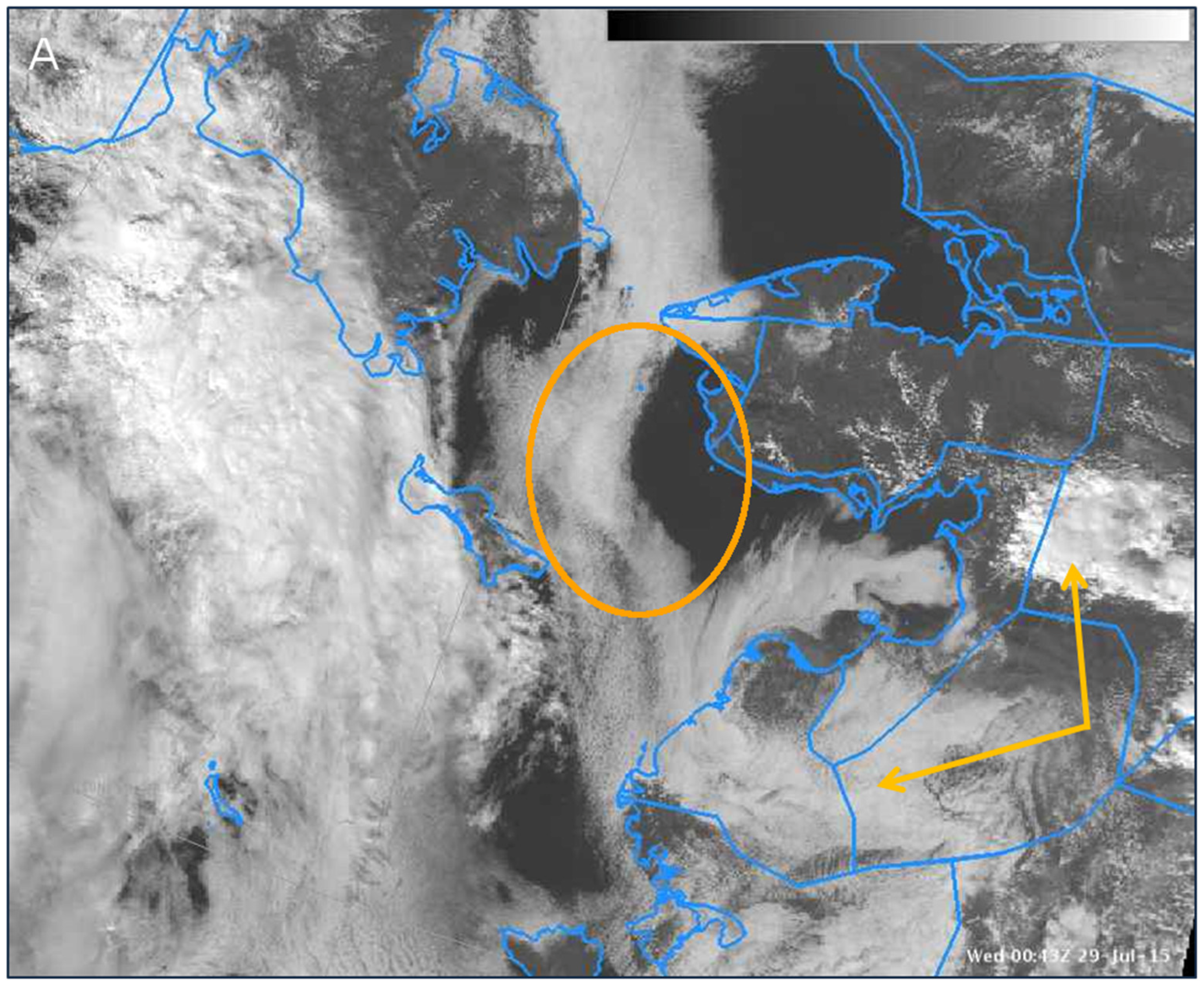 Remotesensing 08 00011 g002a