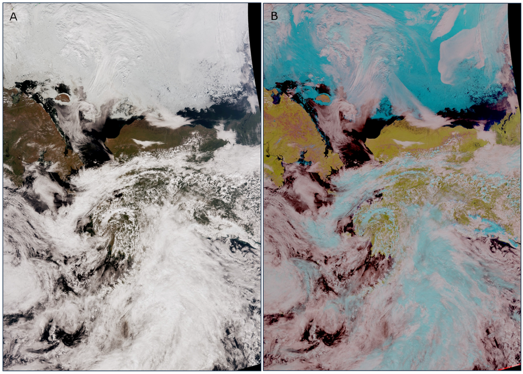 Remotesensing 08 00011 g005 1024