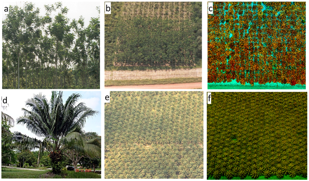 Remotesensing 08 00021 g003 1024