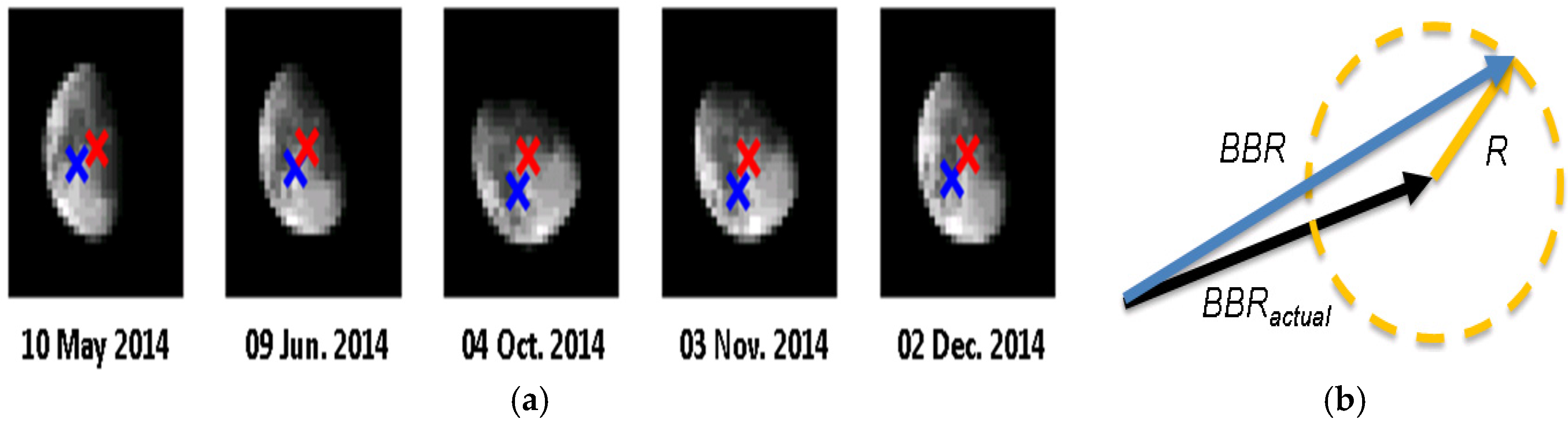 Remotesensing 08 00027 g004
