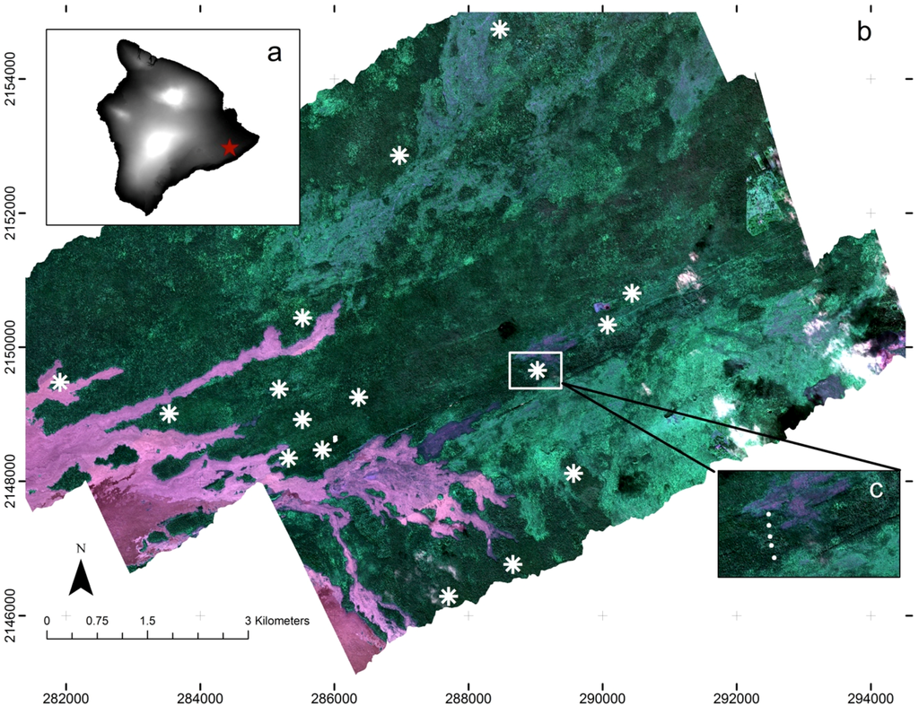 Remotesensing 08 00033 g001 1024