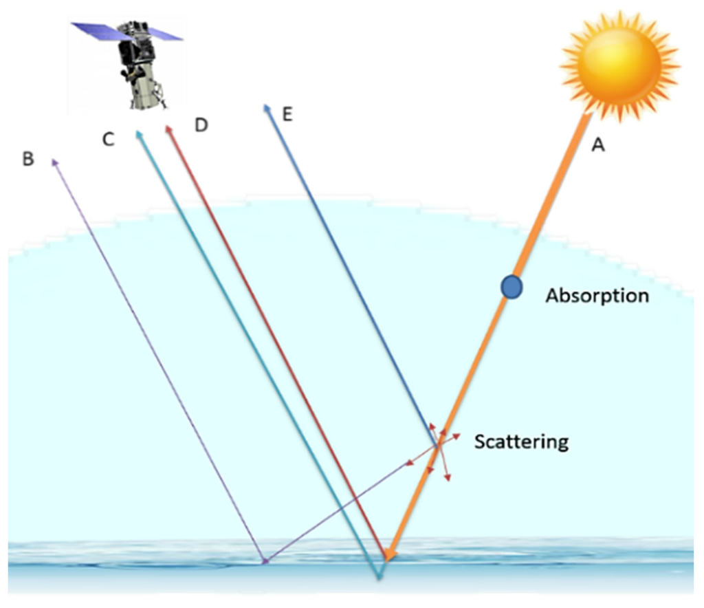 Remotesensing 08 00037 g004 1024