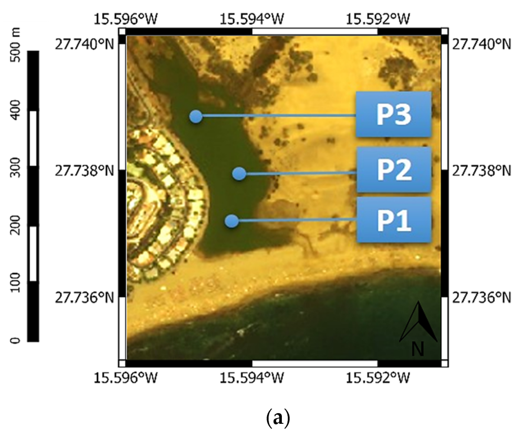 Remotesensing 08 00037 g008a 1024