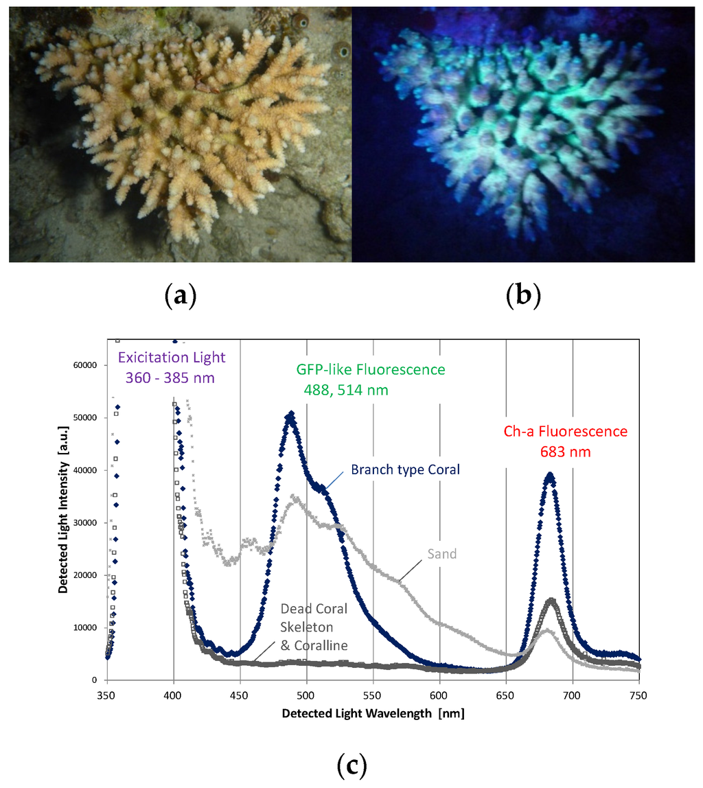 Remotesensing 08 00048 g001 1024