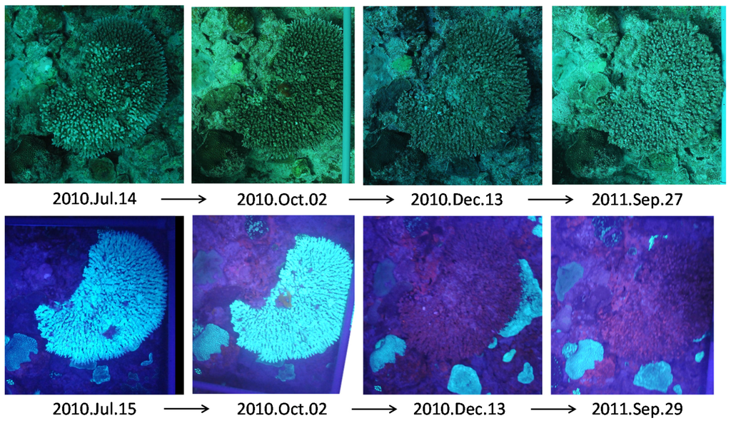 Remotesensing 08 00048 g002 1024