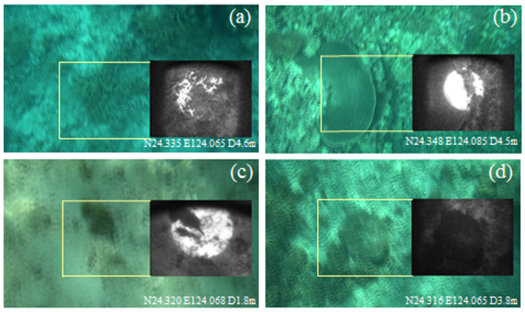 Remotesensing 08 00048 g006 1024