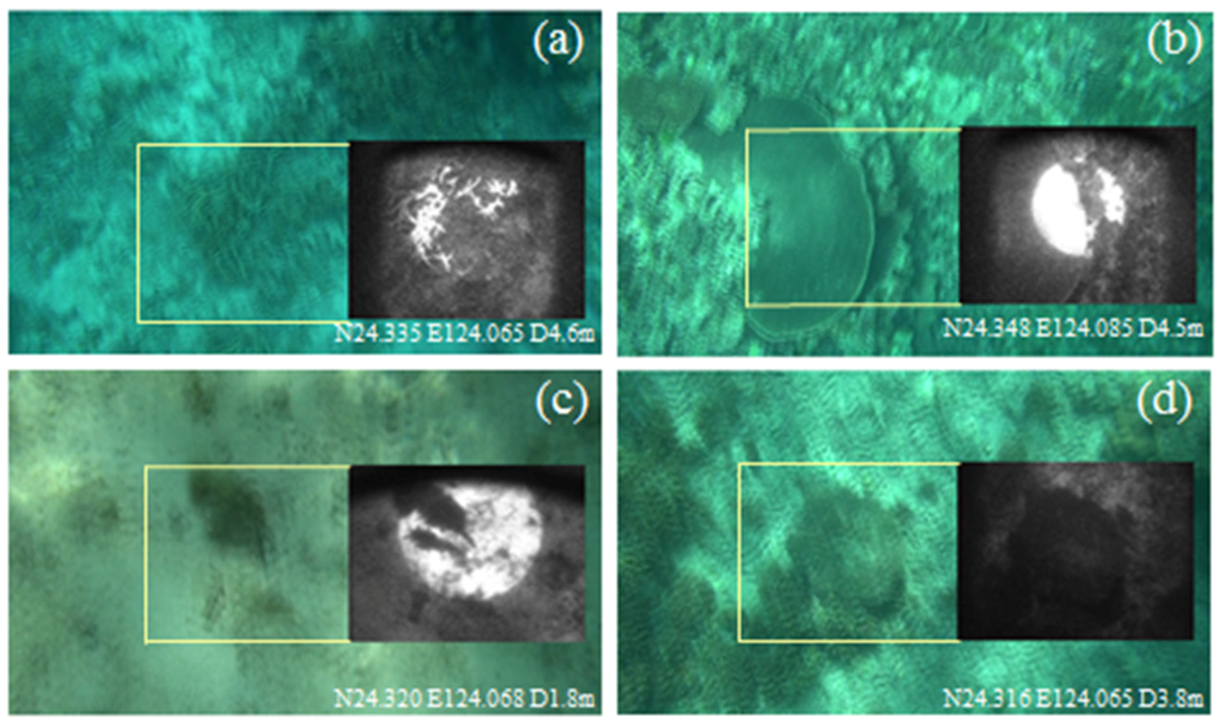 Remotesensing 08 00048 g006