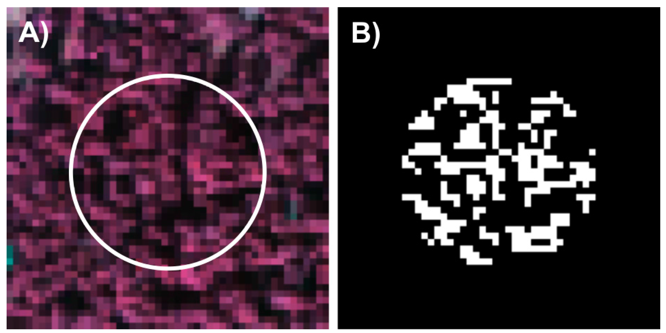 Remotesensing 08 00092 g002