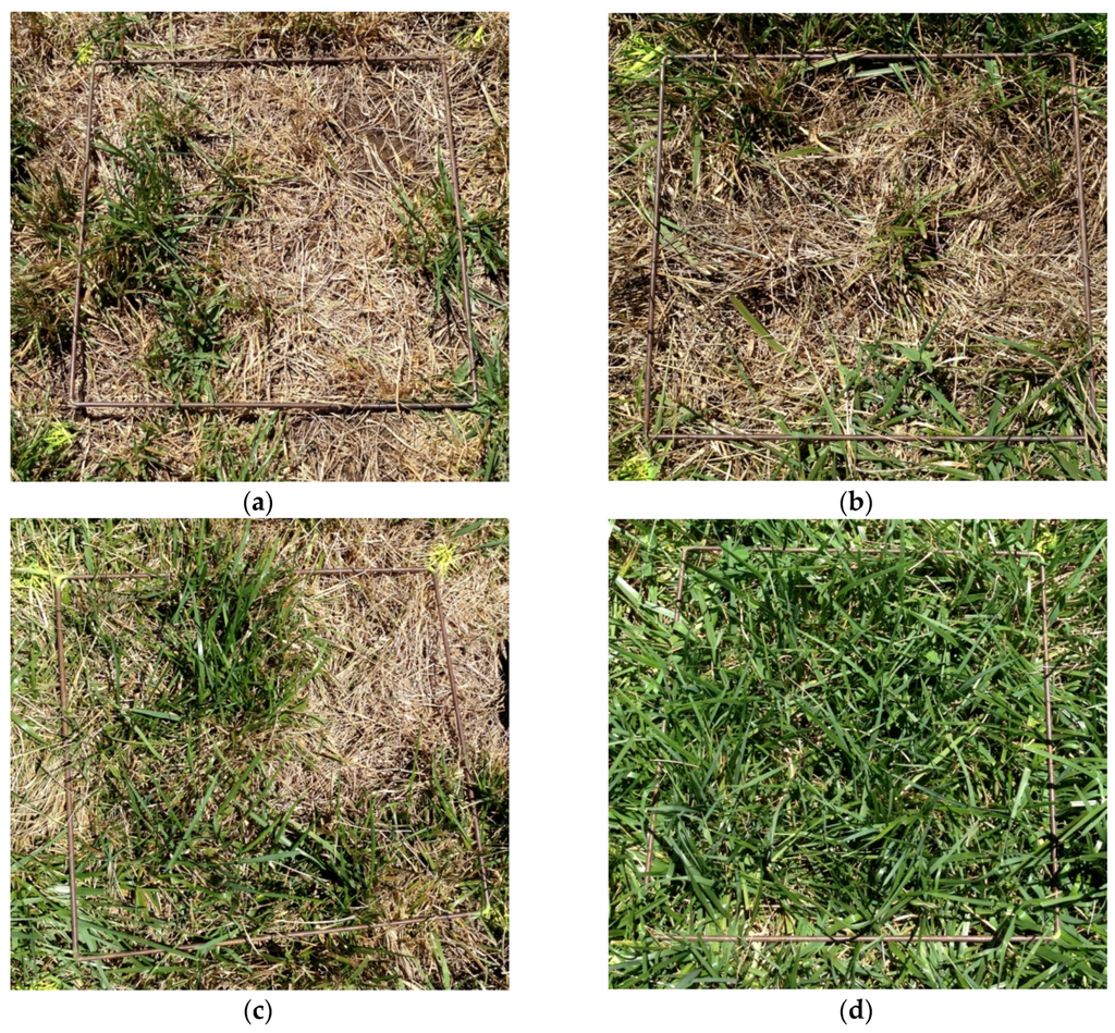 Remotesensing 08 00109 g004 1024