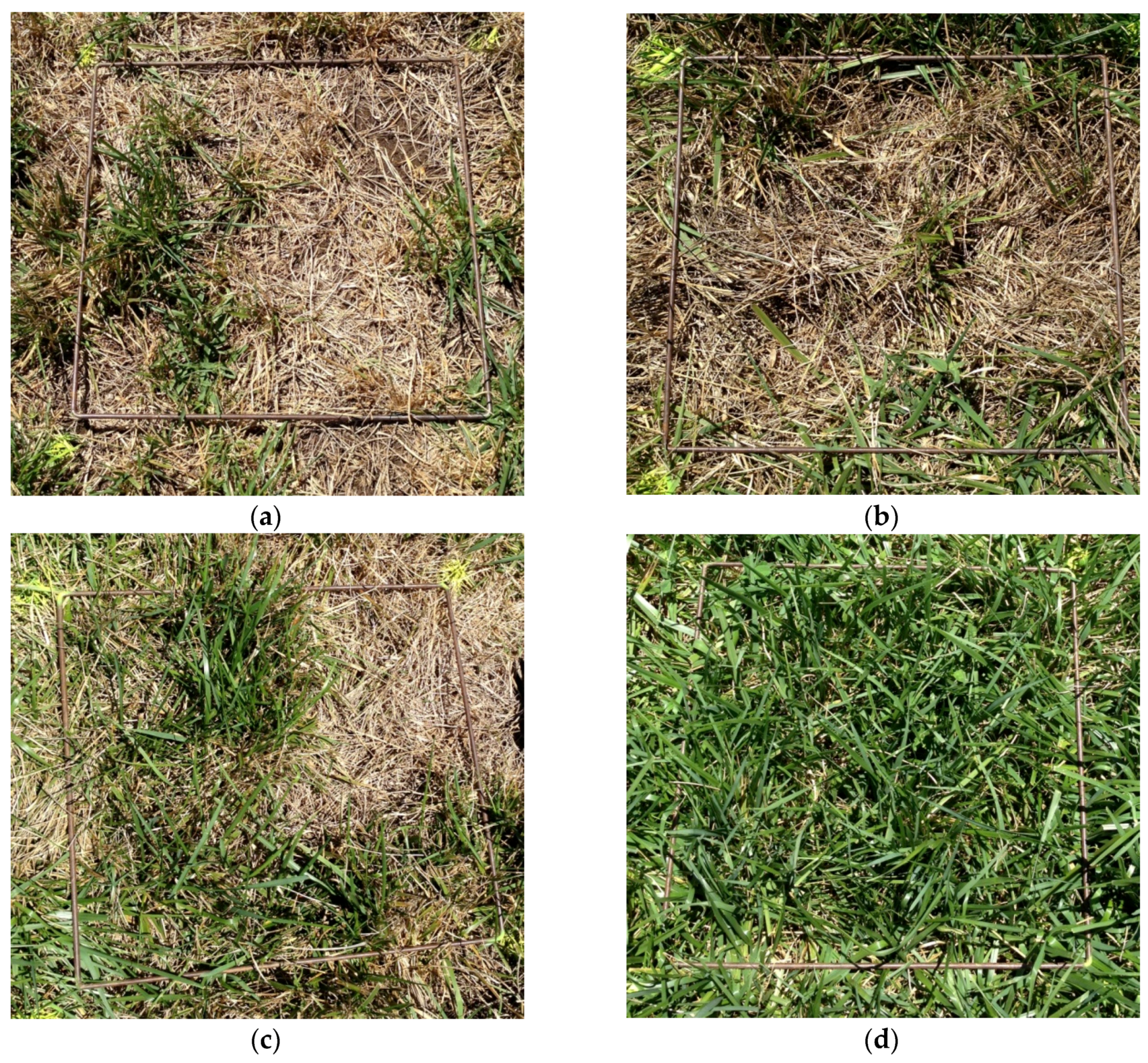 Remotesensing 08 00109 g004