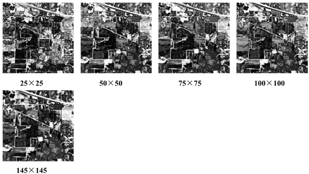 Remotesensing 08 00124 g013 1024