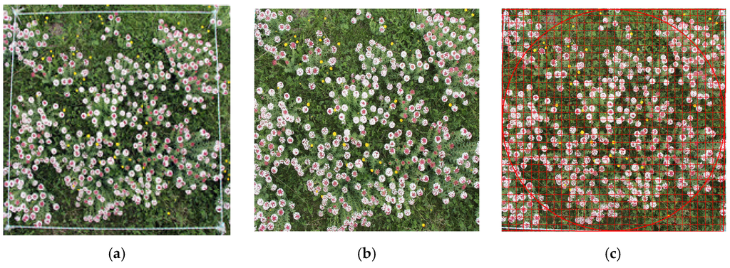 Remotesensing 08 00148 g003 1024