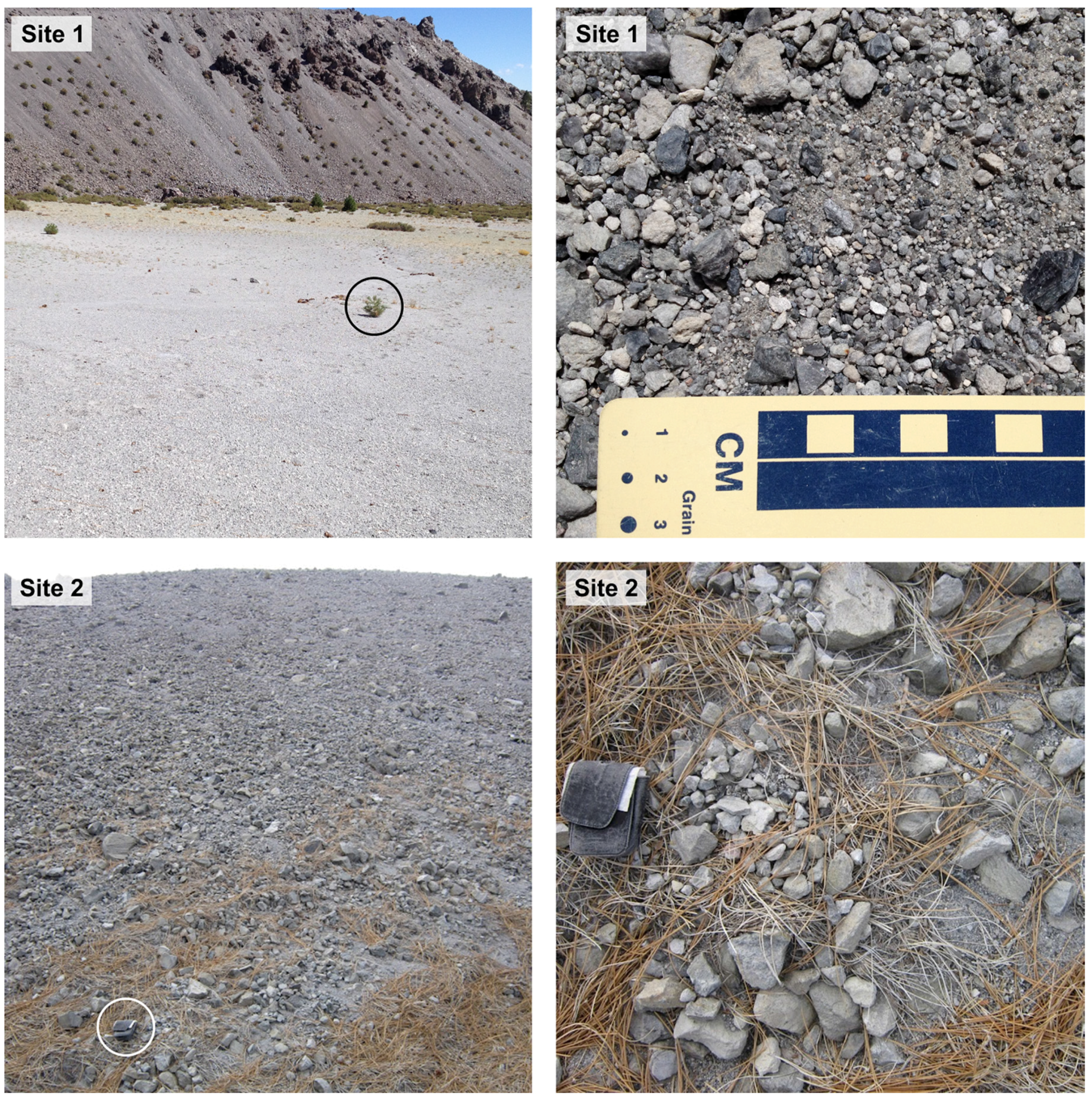 Remotesensing 08 00152 g007