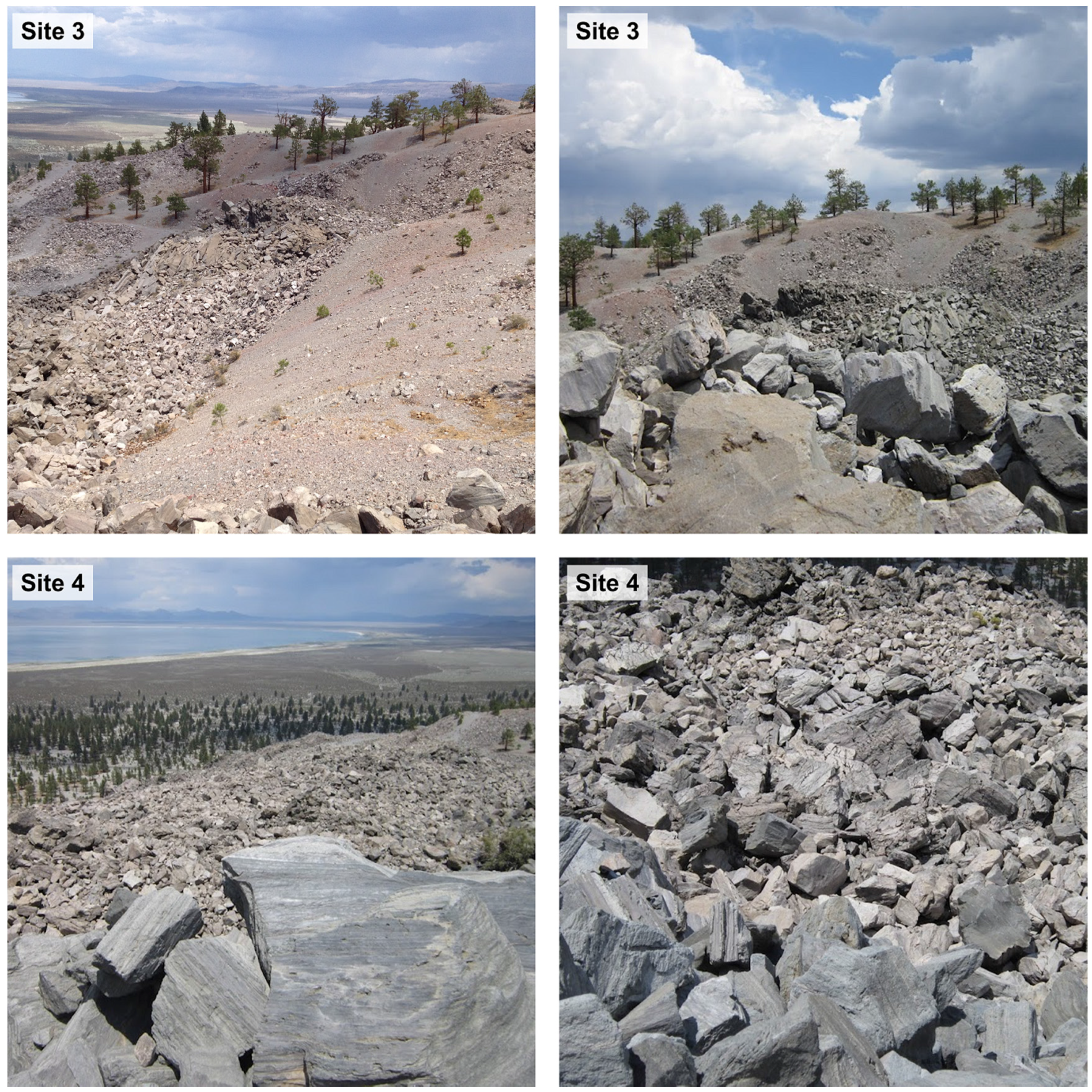 Remotesensing 08 00152 g008