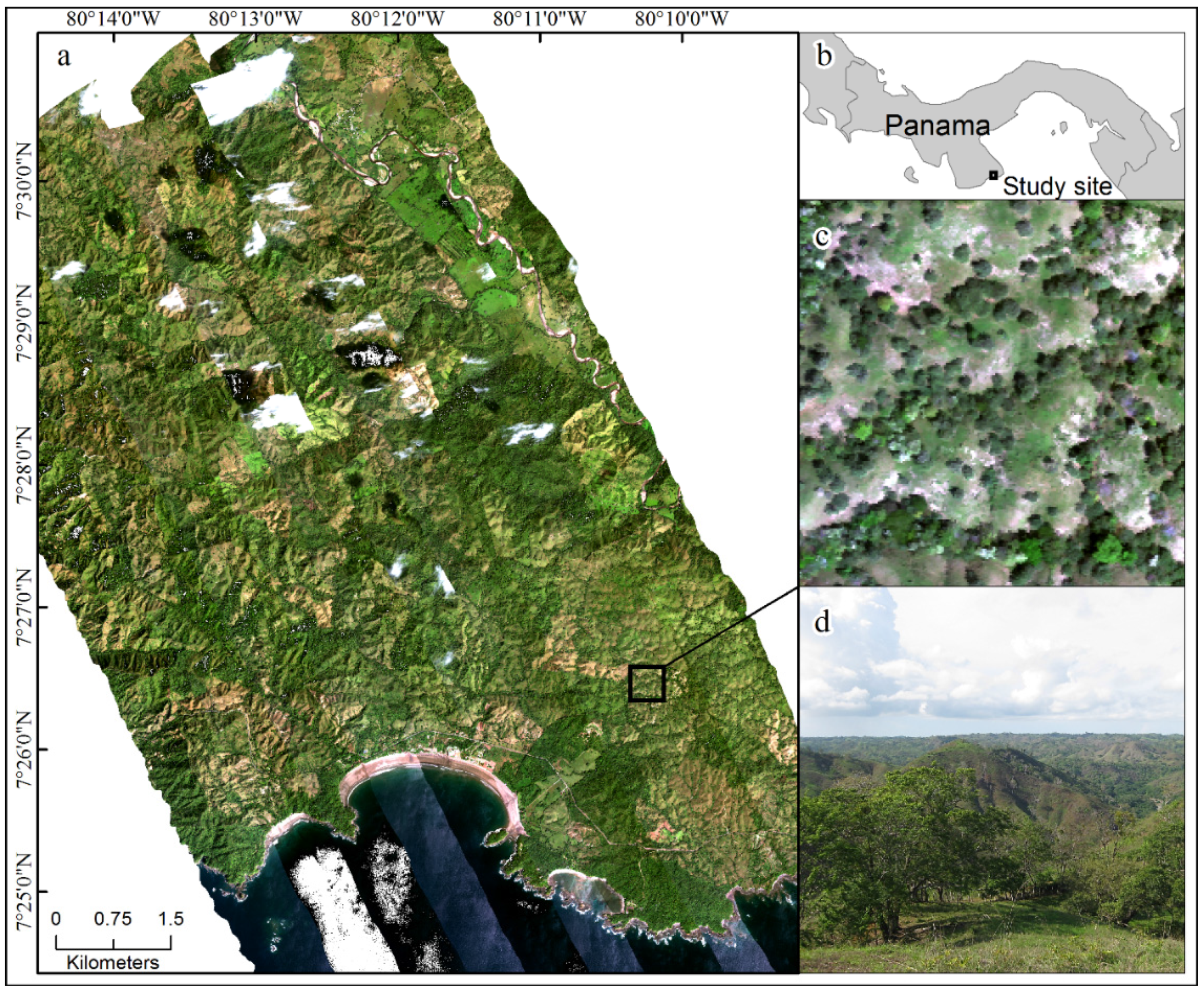 Remotesensing 08 00161 g001