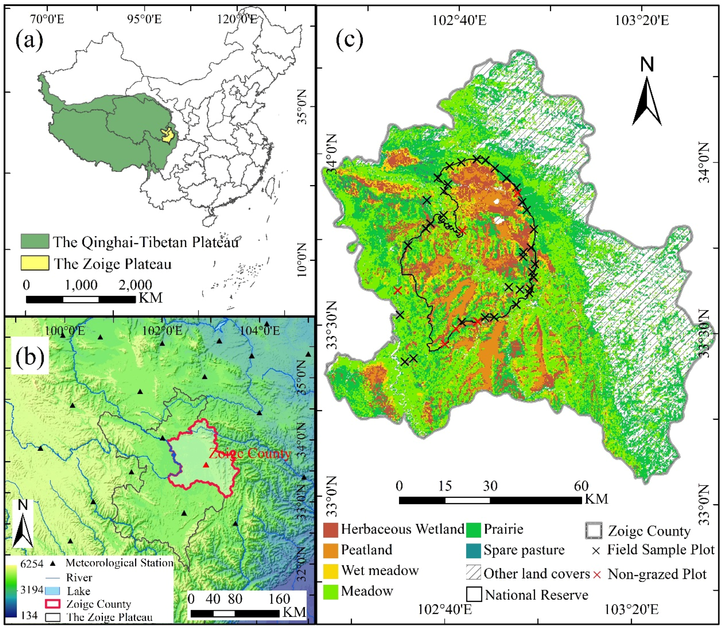Remotesensing 08 00168 g001