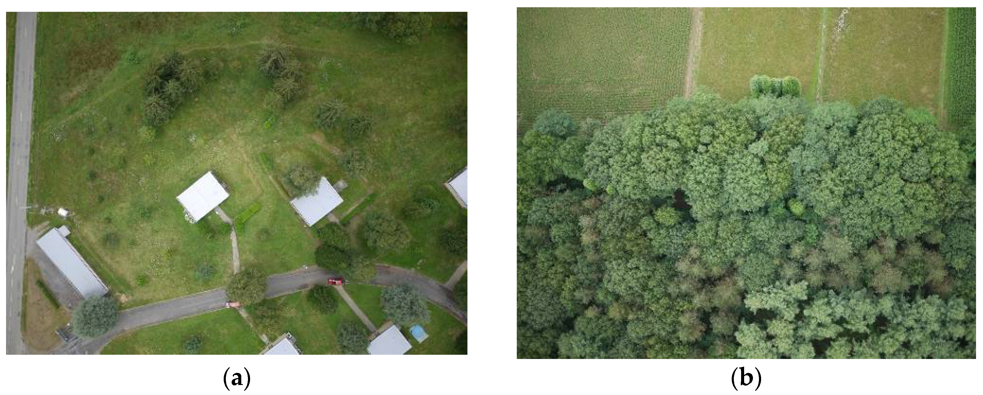 Remotesensing 08 00204 g009