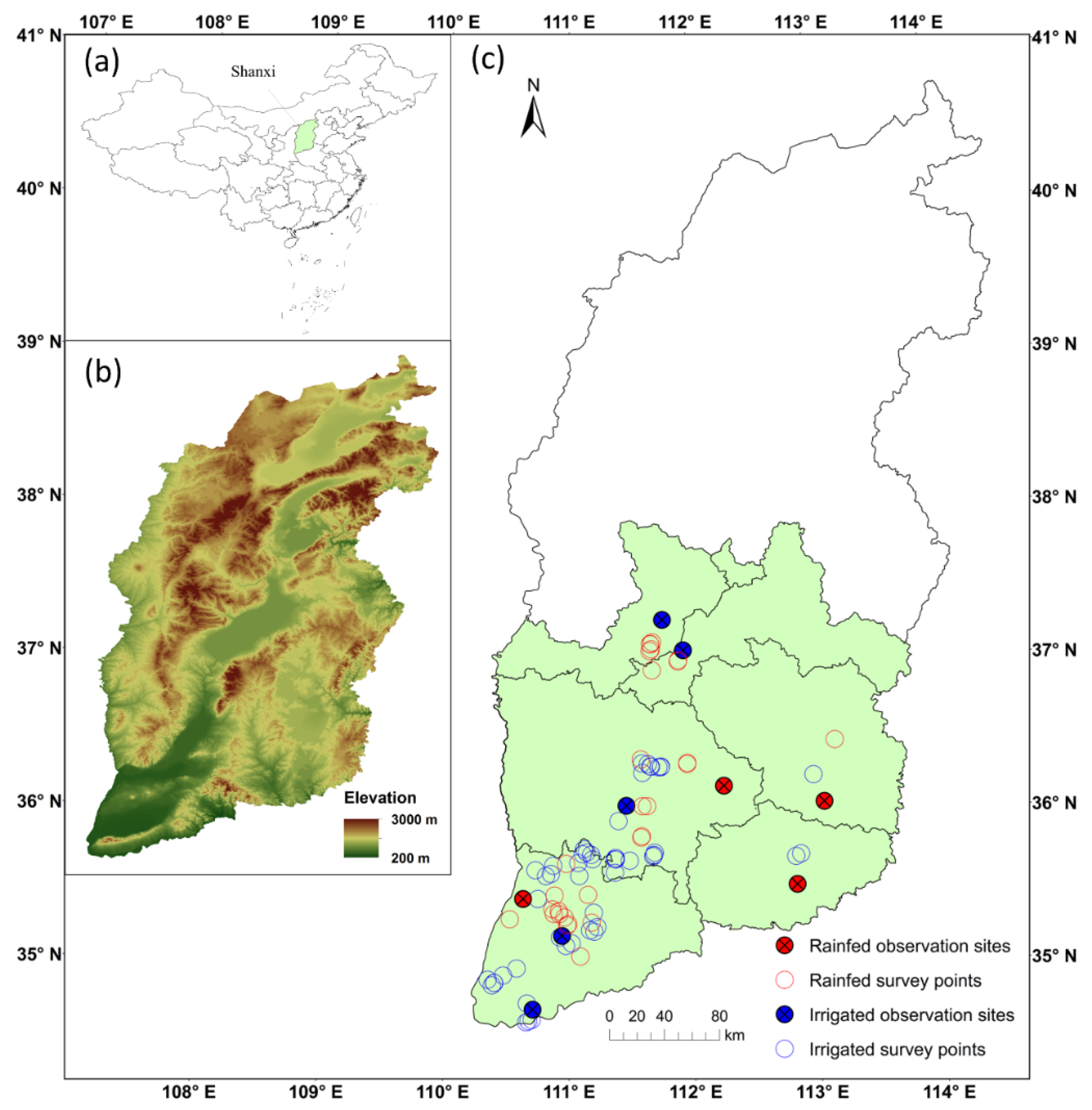 Remotesensing 08 00207 g001