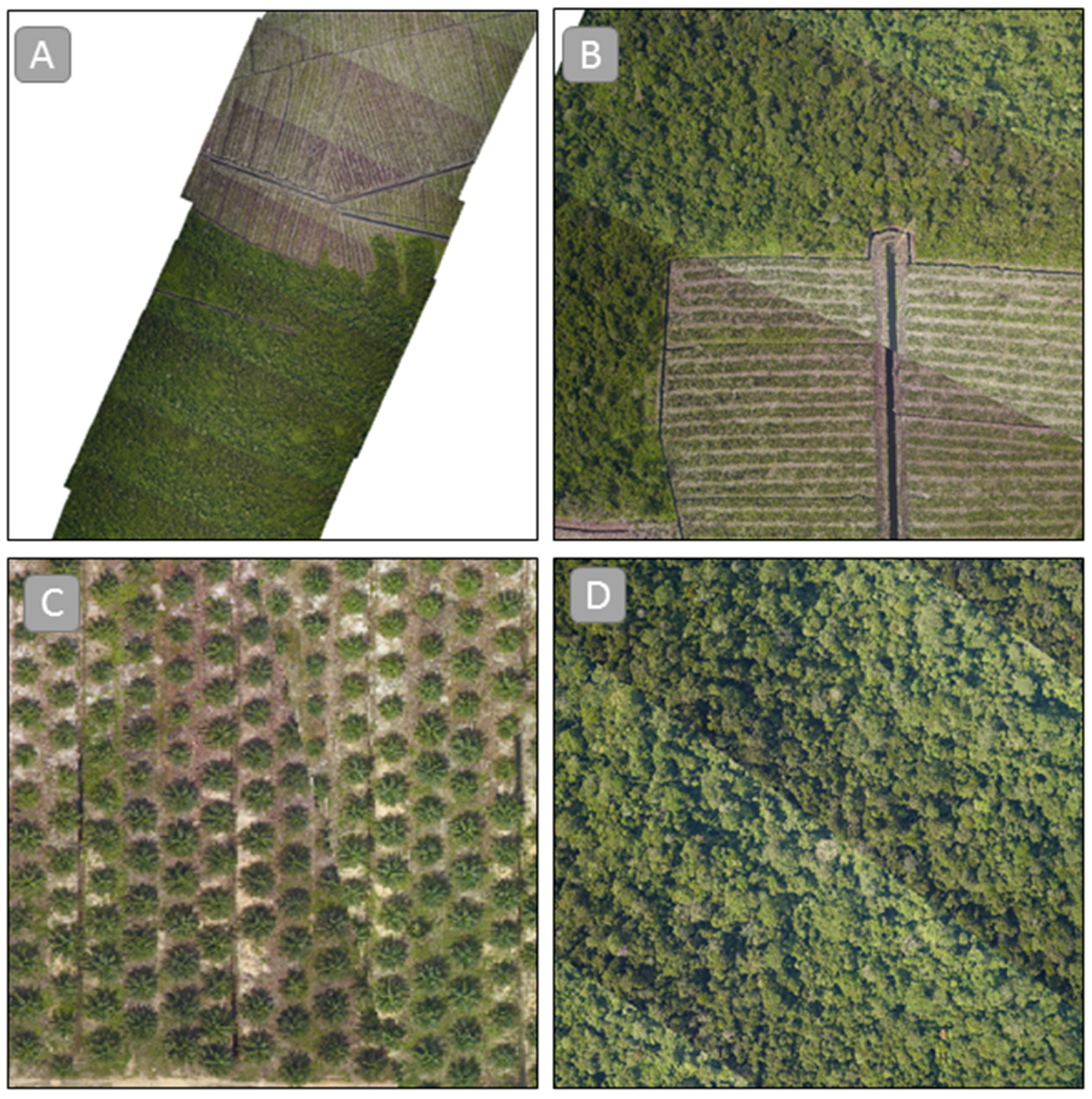 Remotesensing 08 00236 g003