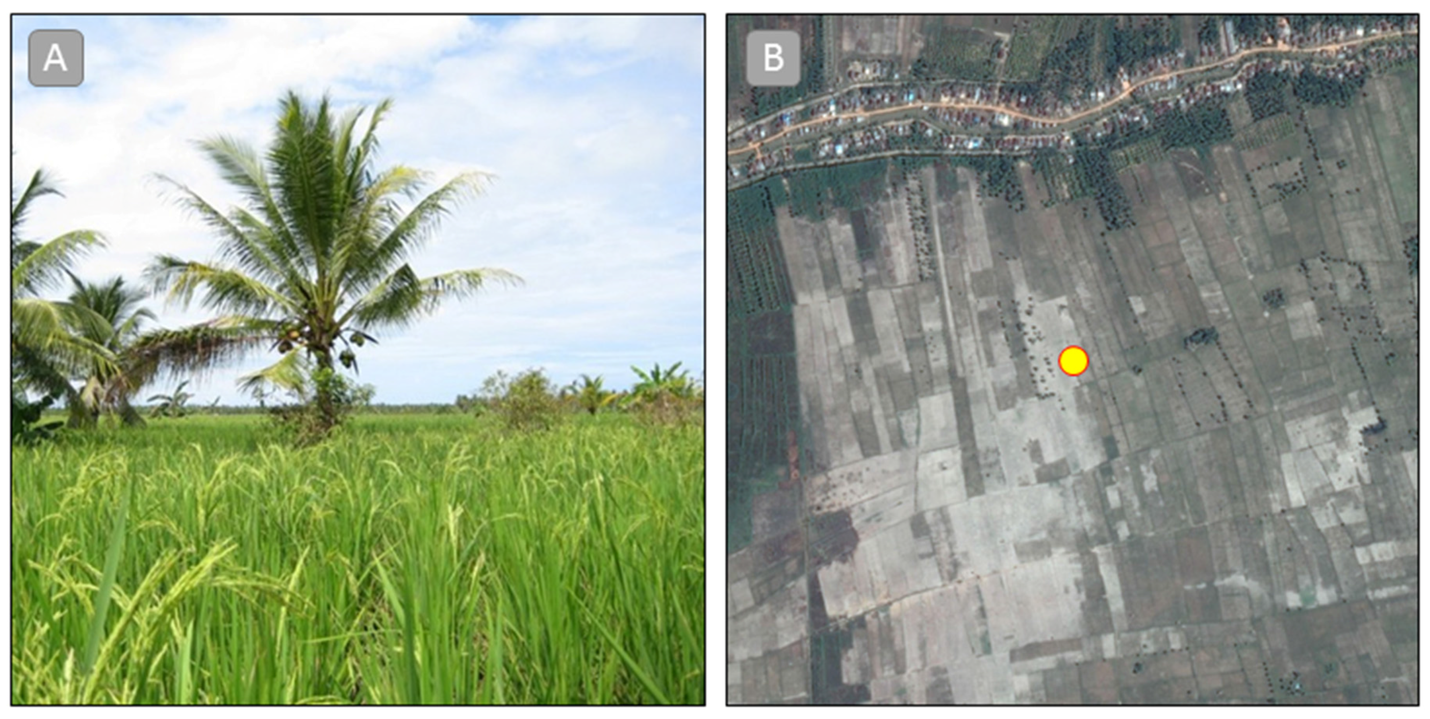 Remotesensing 08 00236 g004