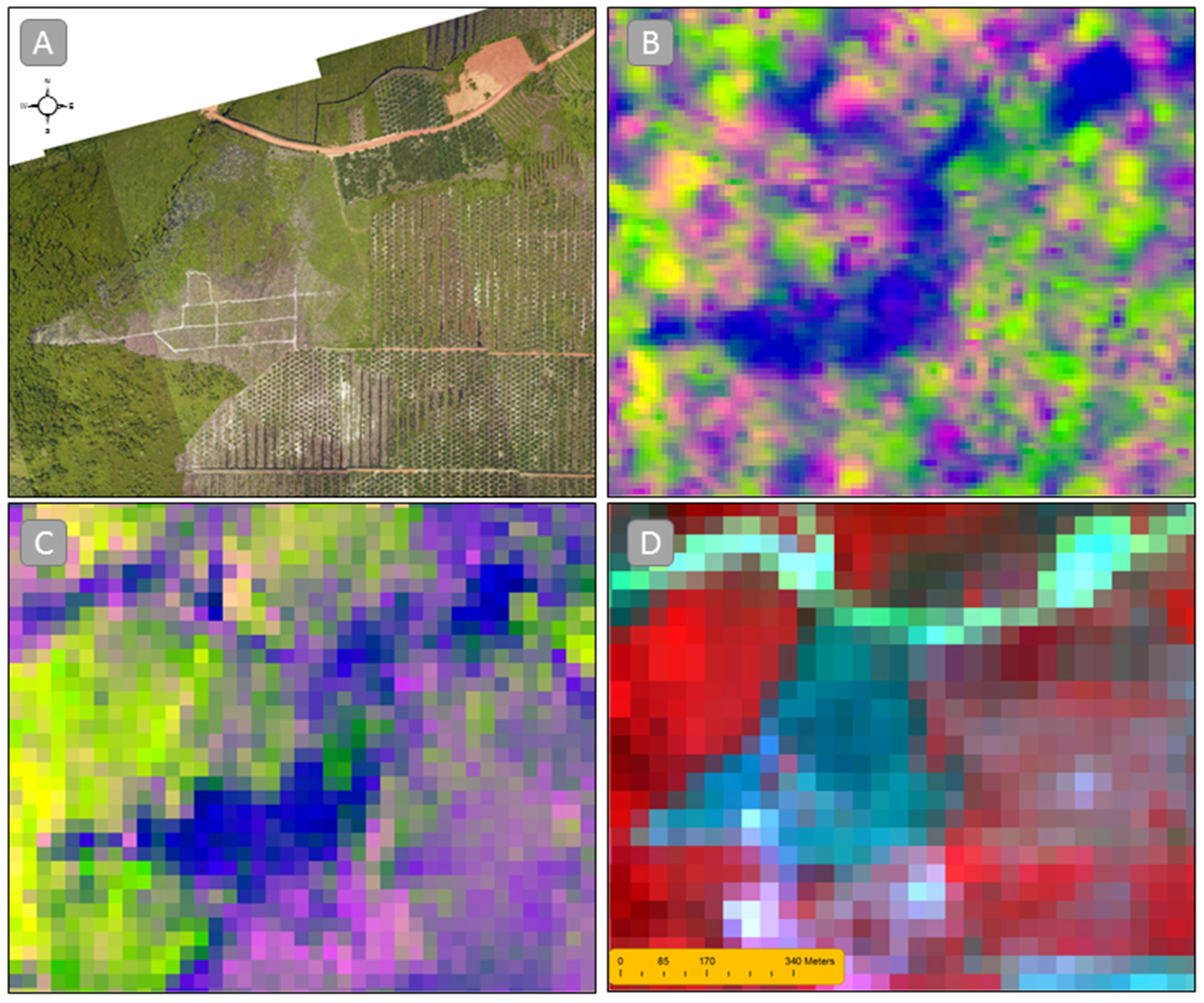 Remotesensing 08 00236 g005