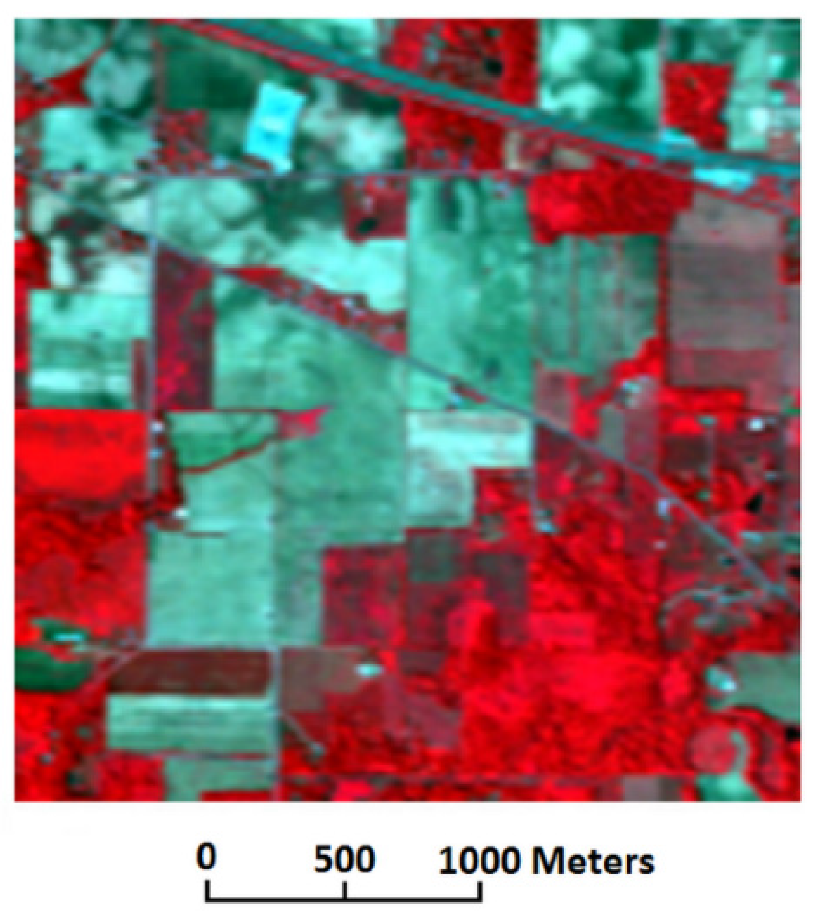 Remotesensing 08 00238 g001
