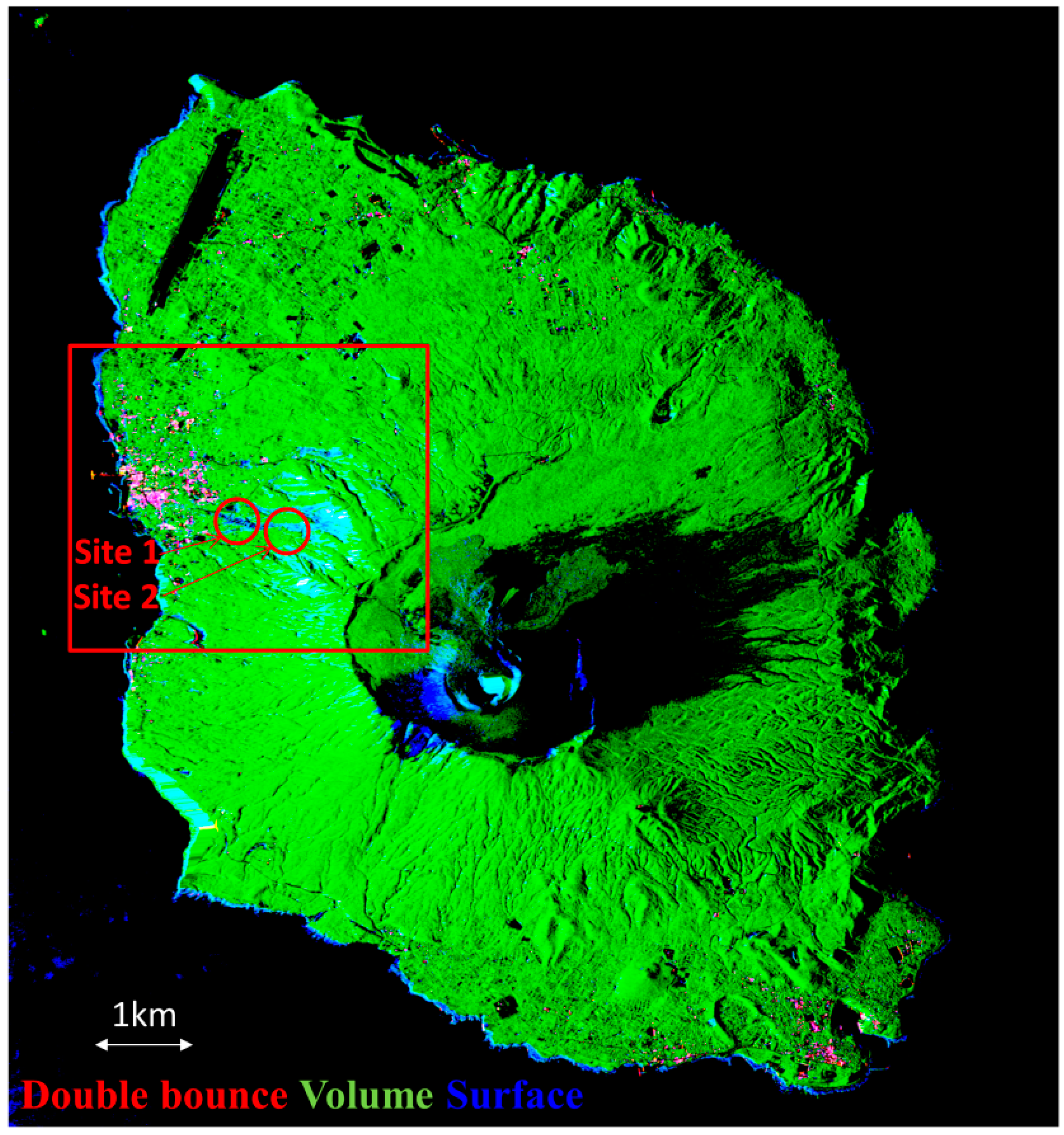 Remotesensing 08 00282 g004