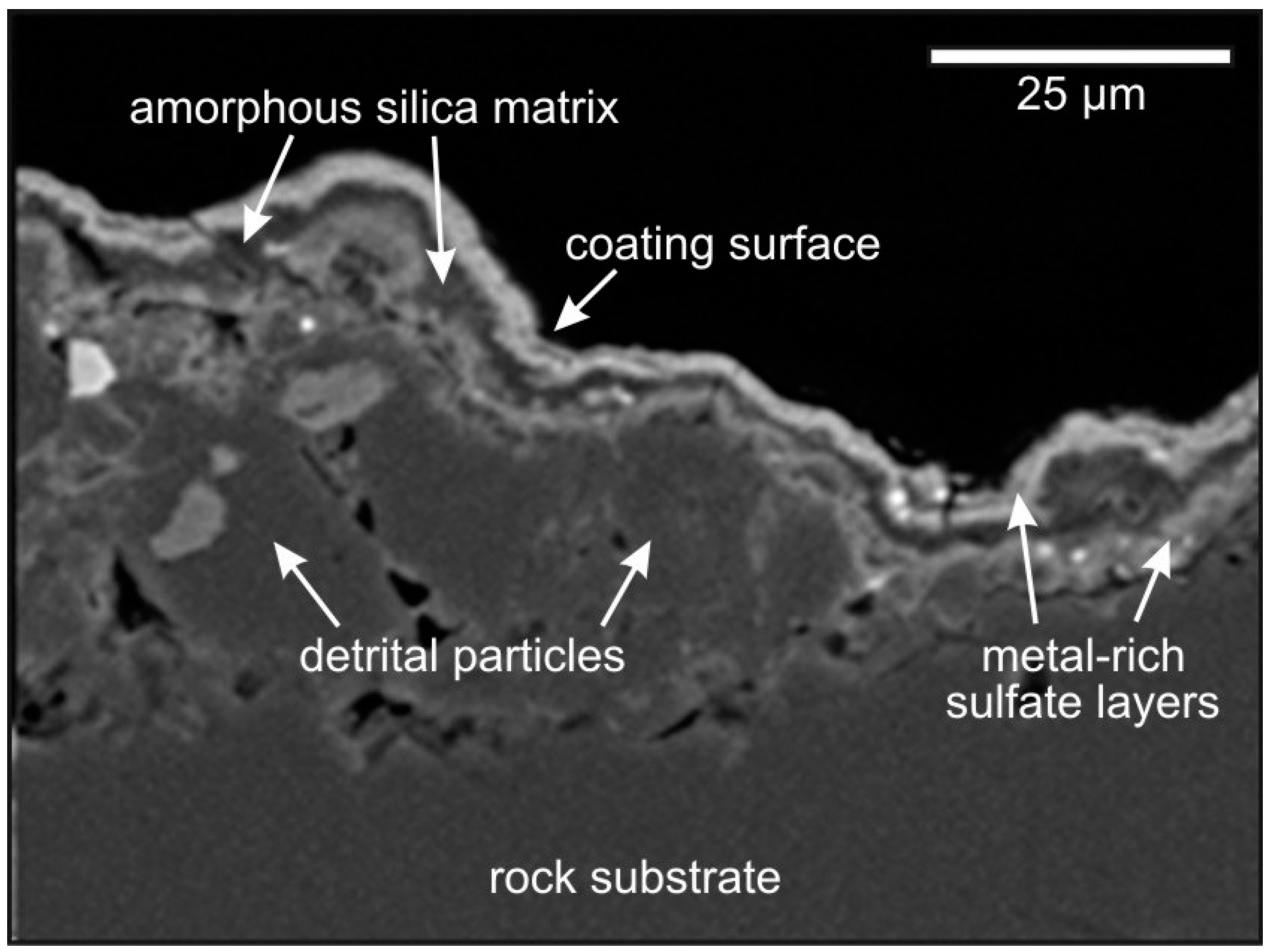 Remotesensing 08 00301 g003