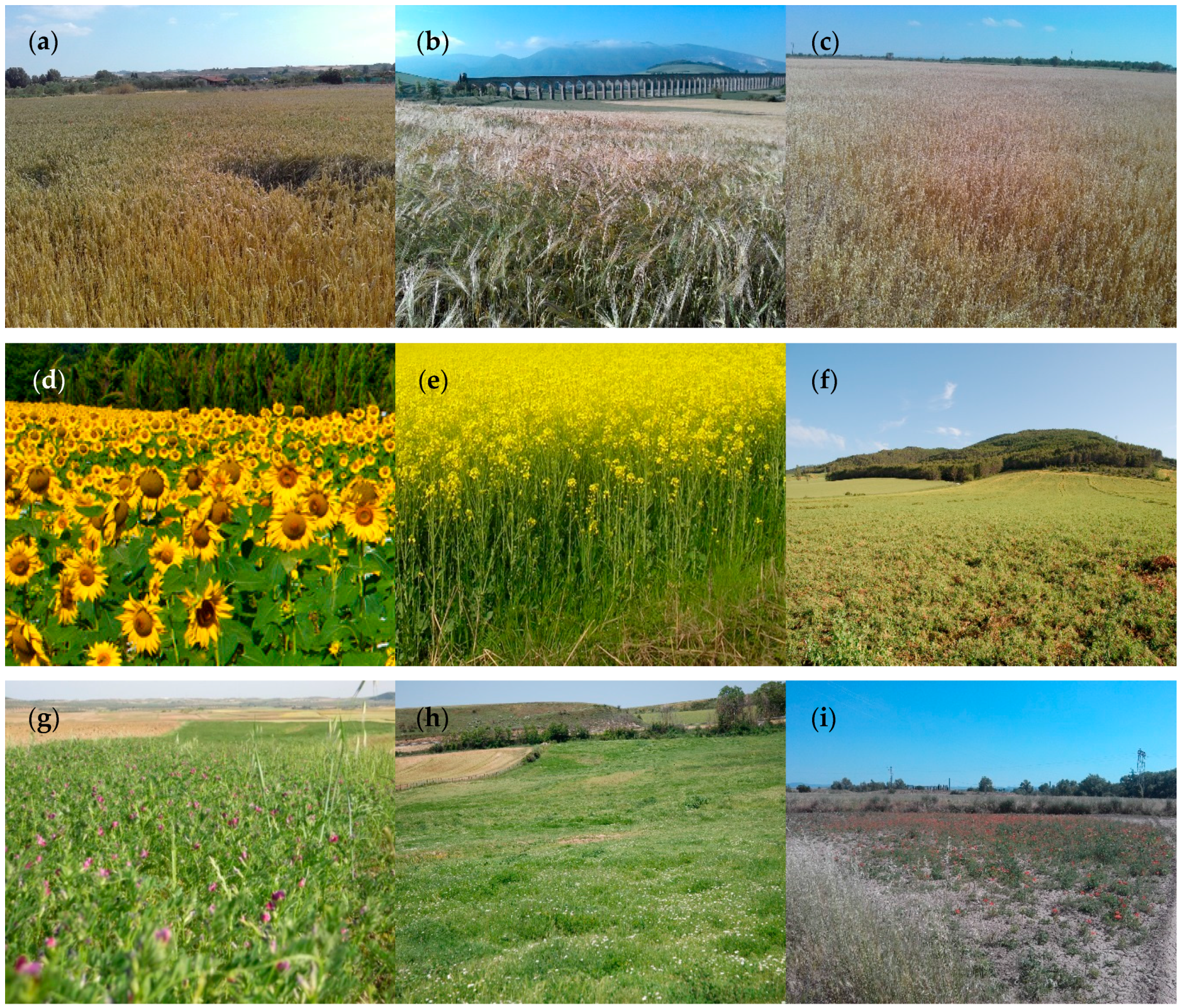 Remotesensing 08 00335 g002