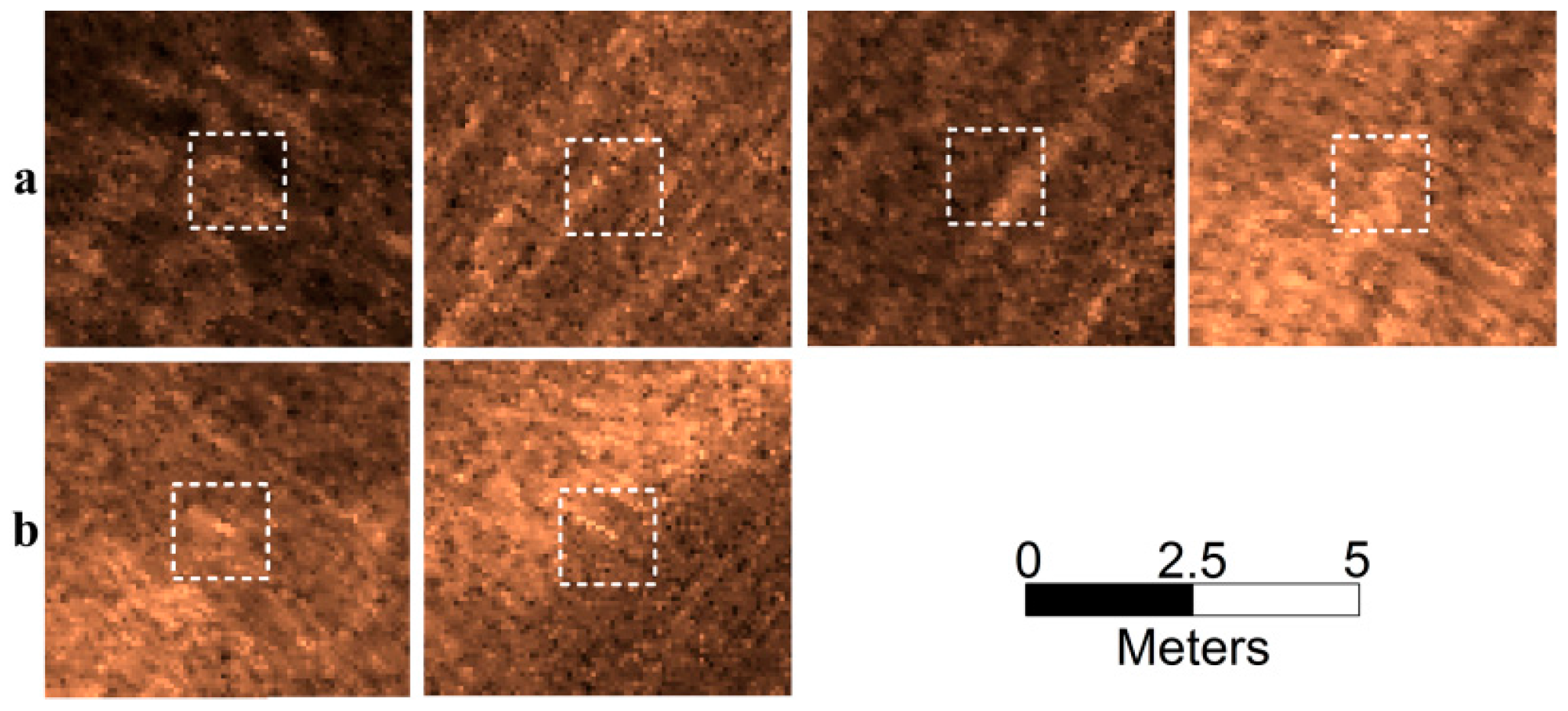 Remotesensing 08 00373 g007
