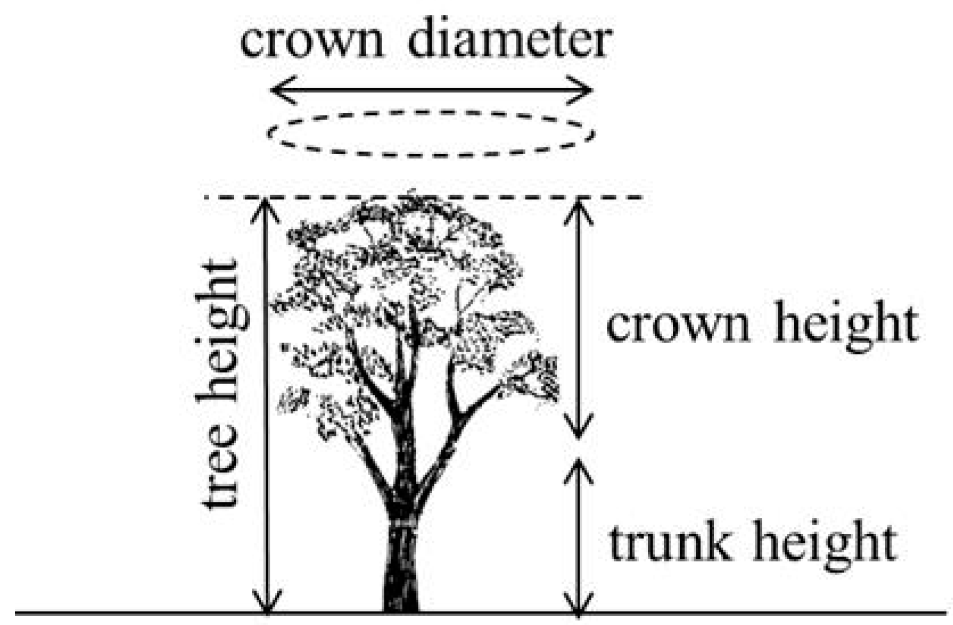 Remotesensing 08 00388 g002