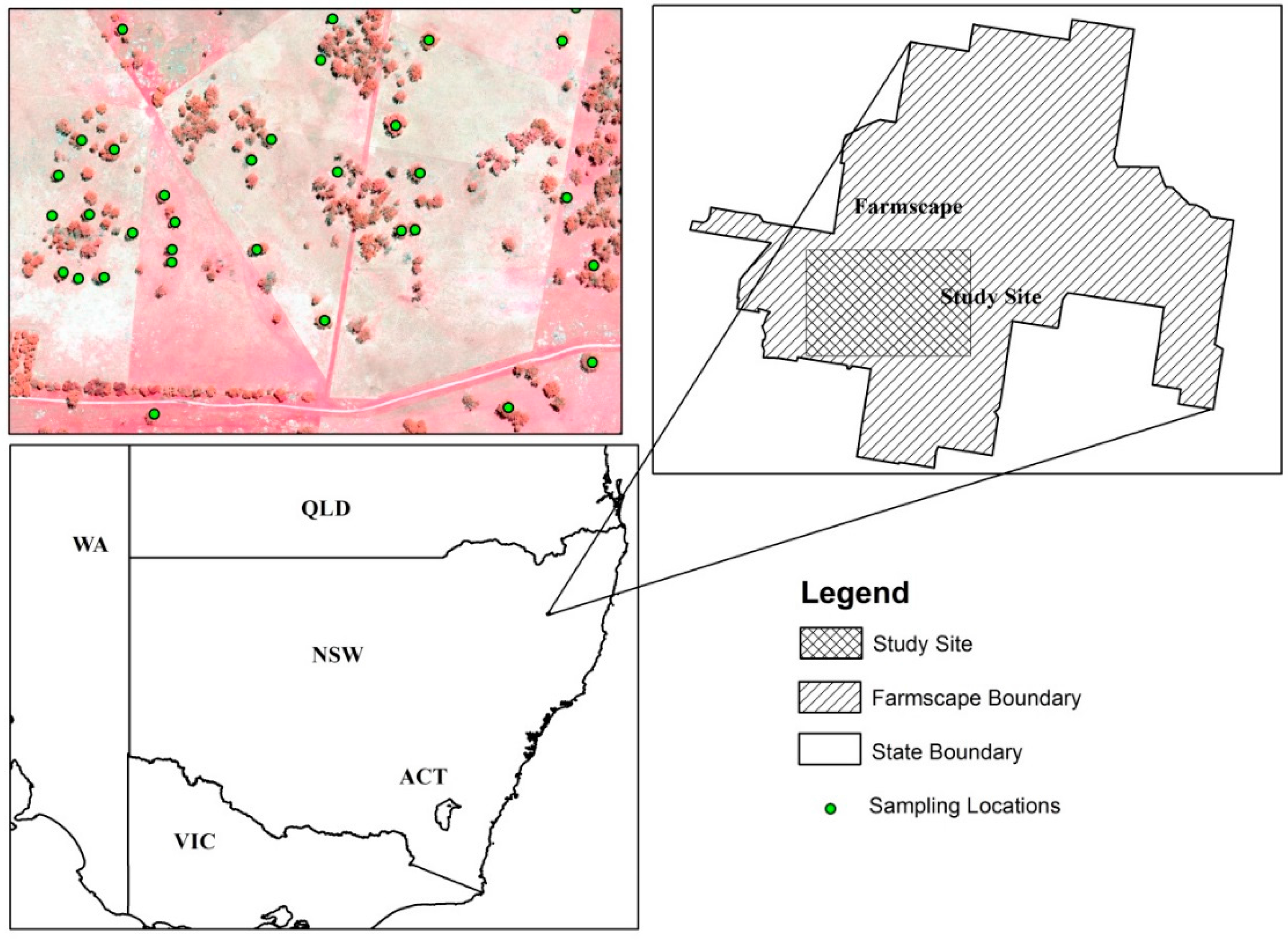 Remotesensing 08 00388 g003