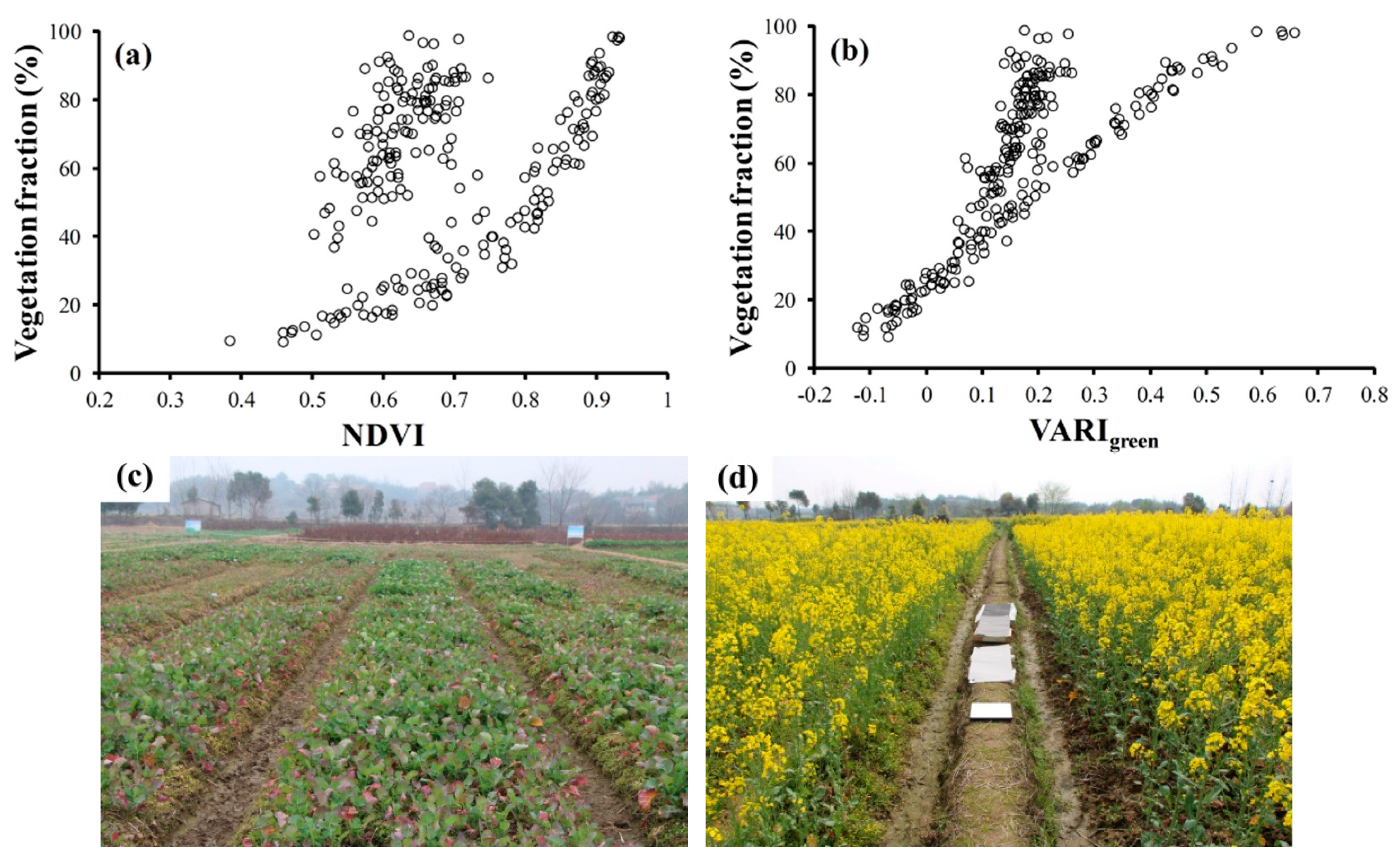 Remotesensing 08 00416 g003