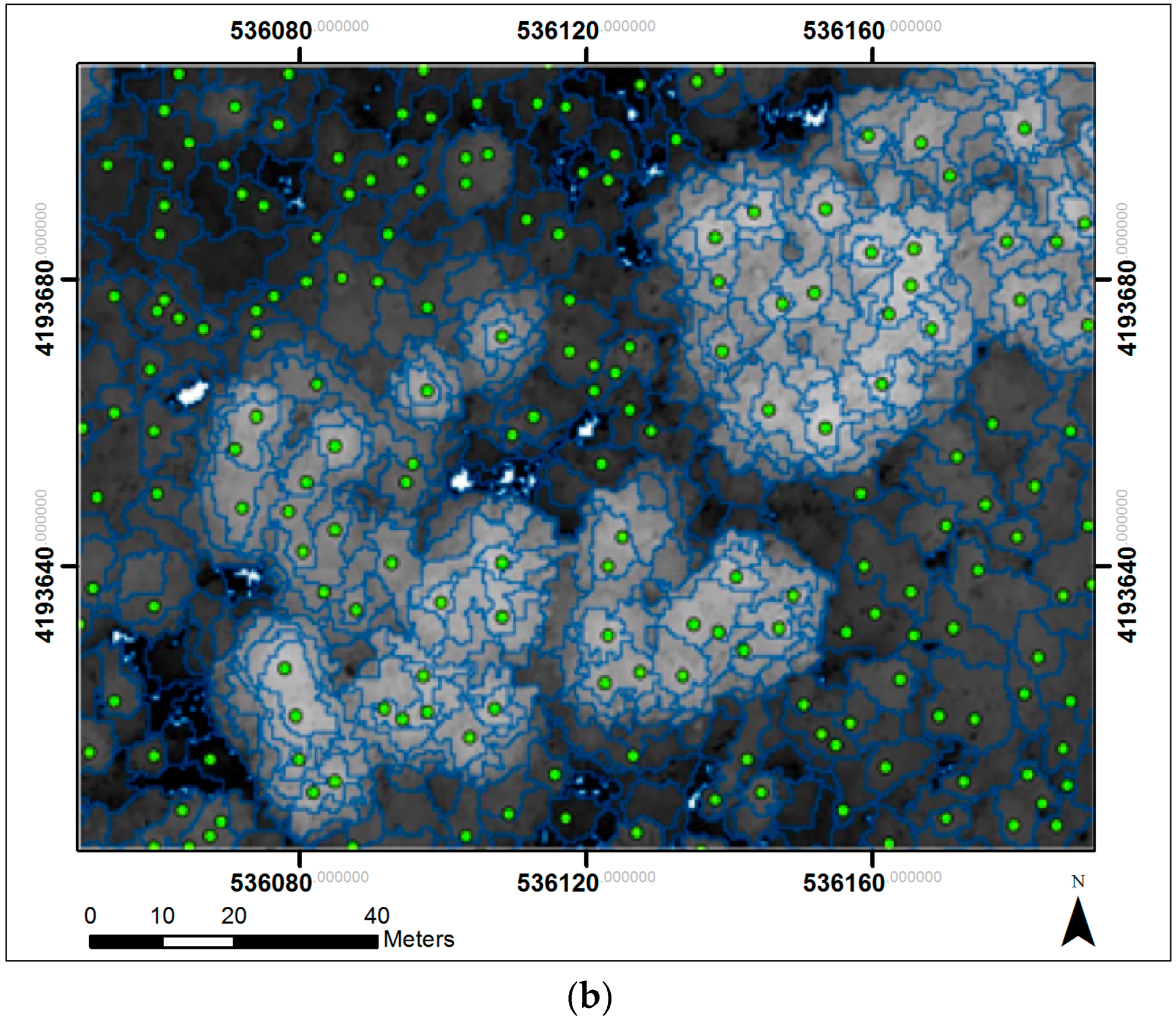 Remotesensing 08 00445 g002b