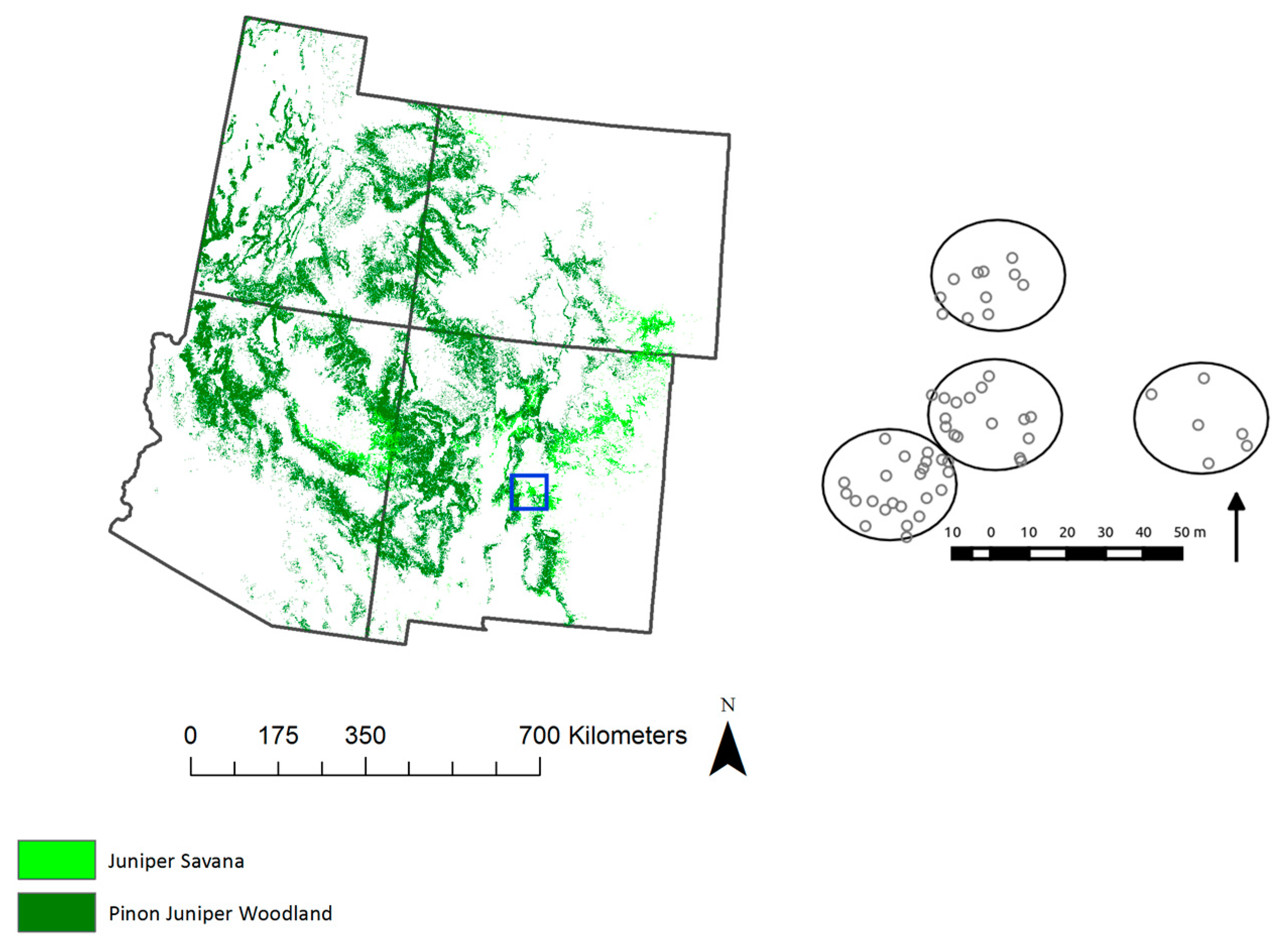 Remotesensing 08 00453 g001