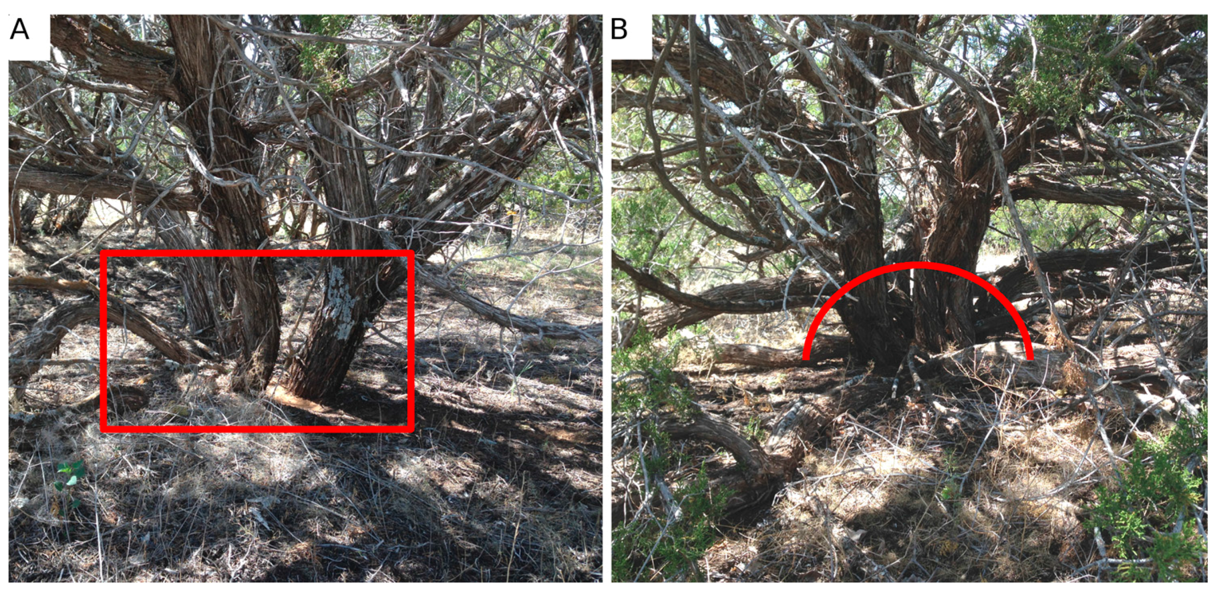 Remotesensing 08 00453 g002