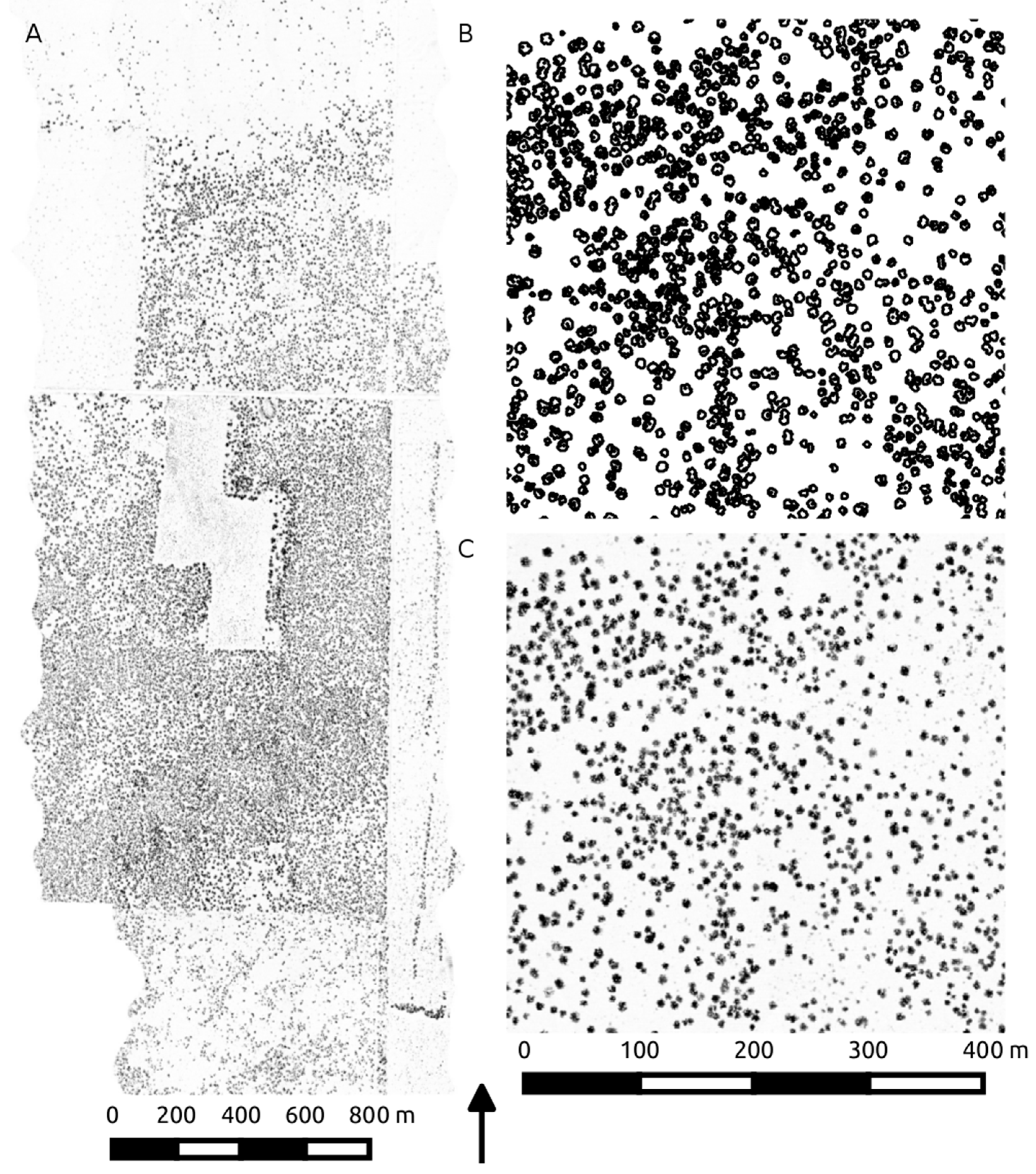 Remotesensing 08 00453 g003