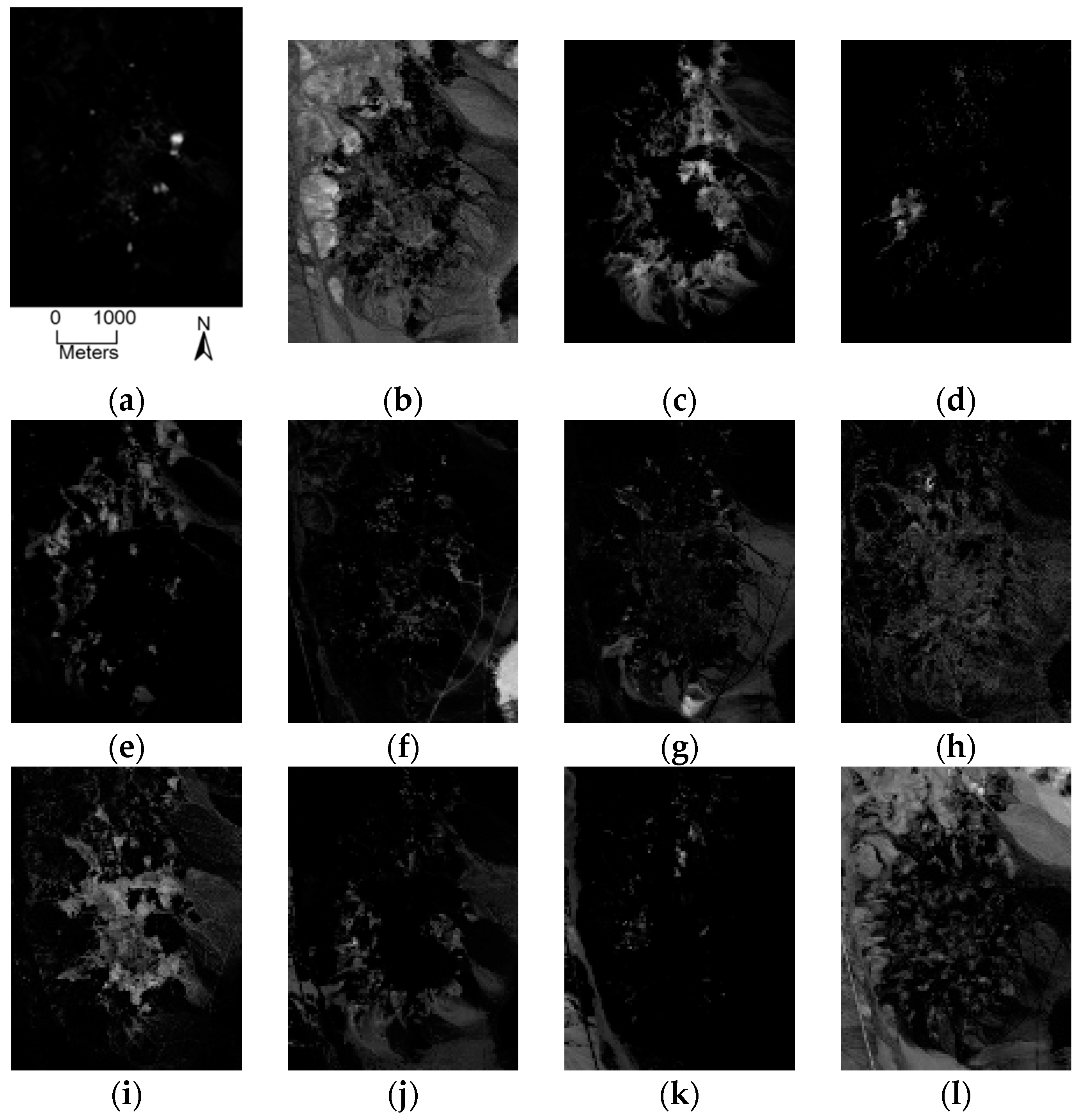 Remotesensing 08 00464 g014