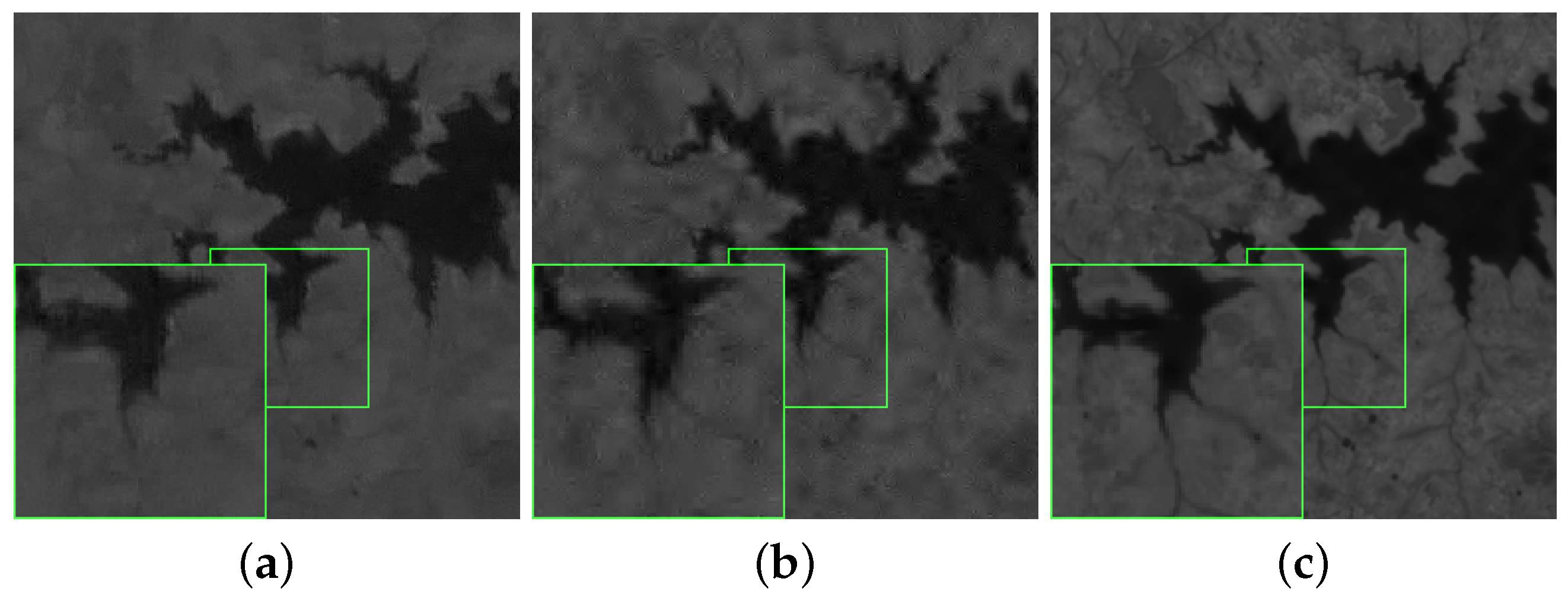 Remotesensing 08 00499 g004