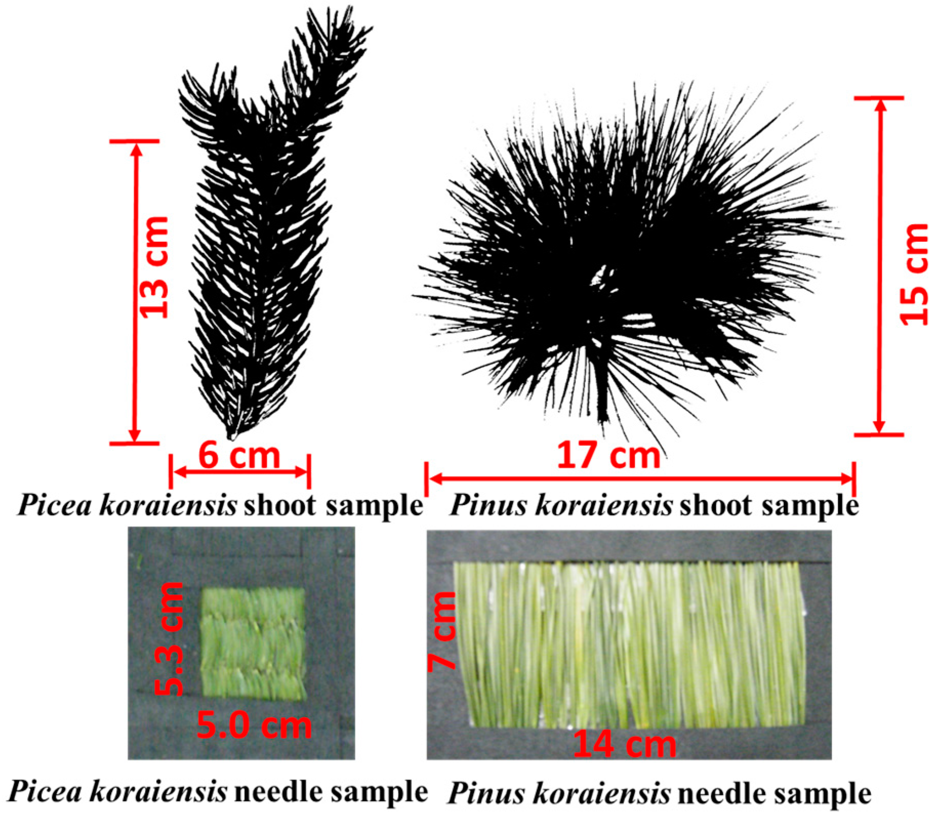 Remotesensing 08 00563 g002