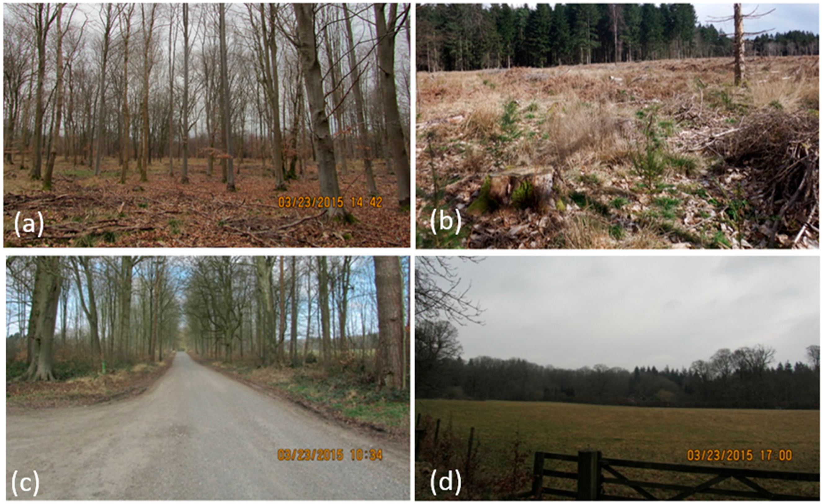 Remotesensing 08 00577 g004