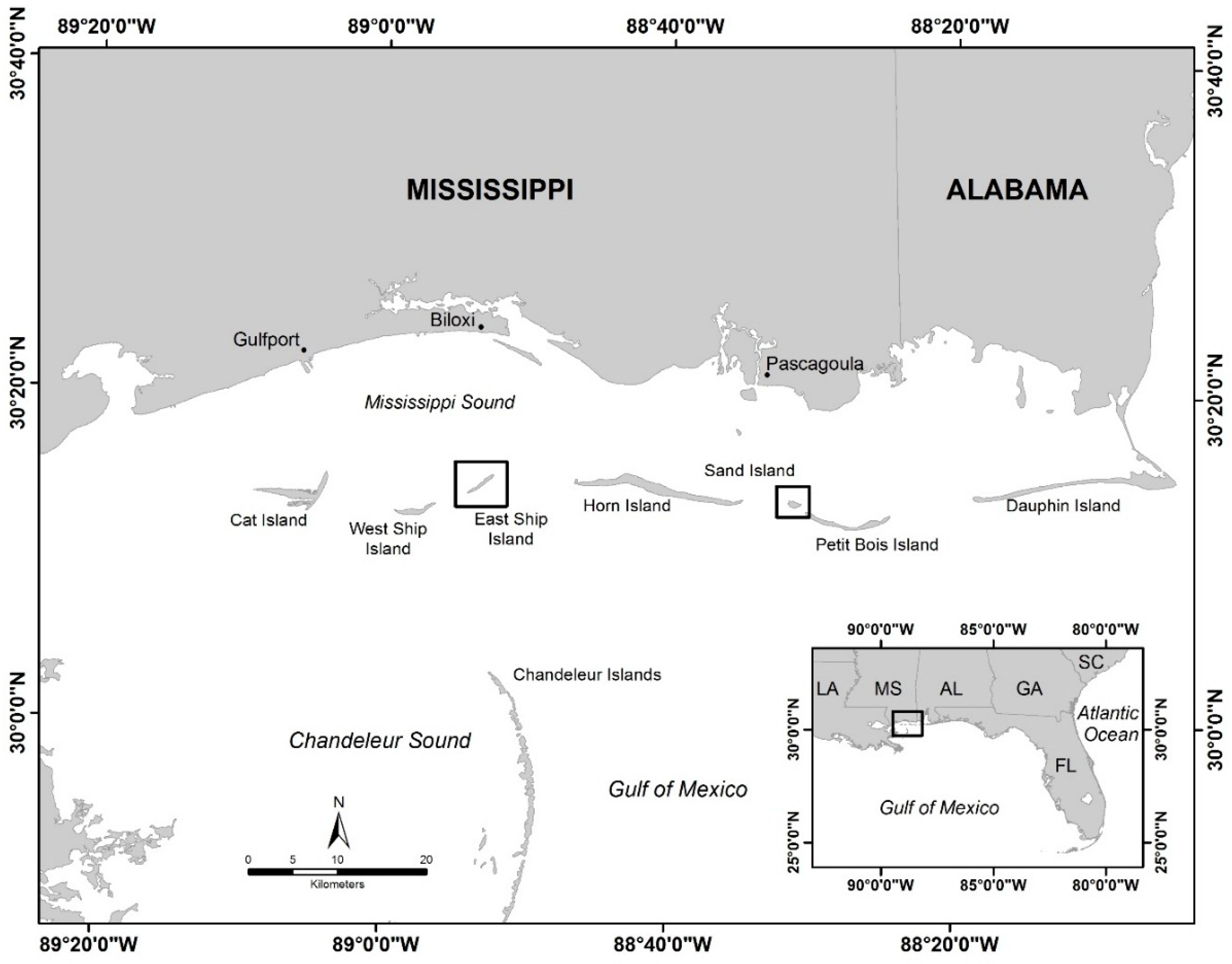 Remotesensing 08 00602 g001