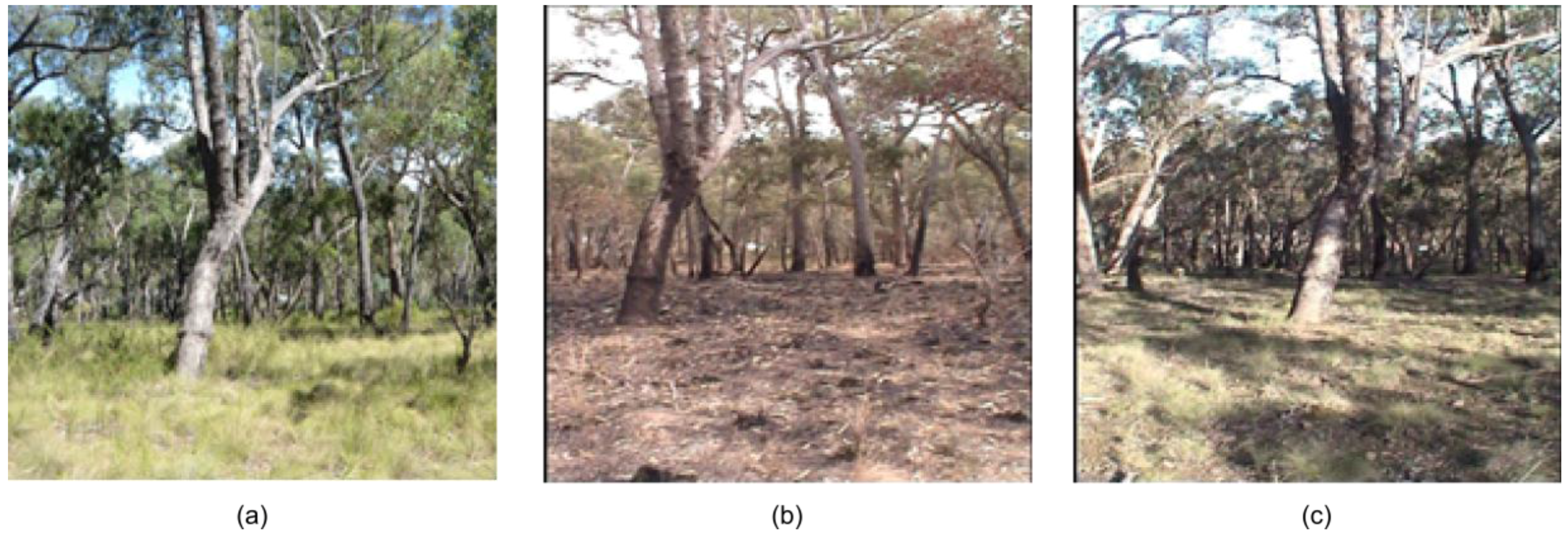 Remotesensing 08 00679 g001