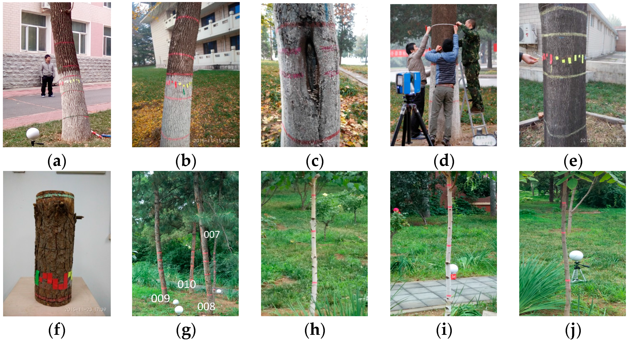 Remotesensing 08 00717 g002