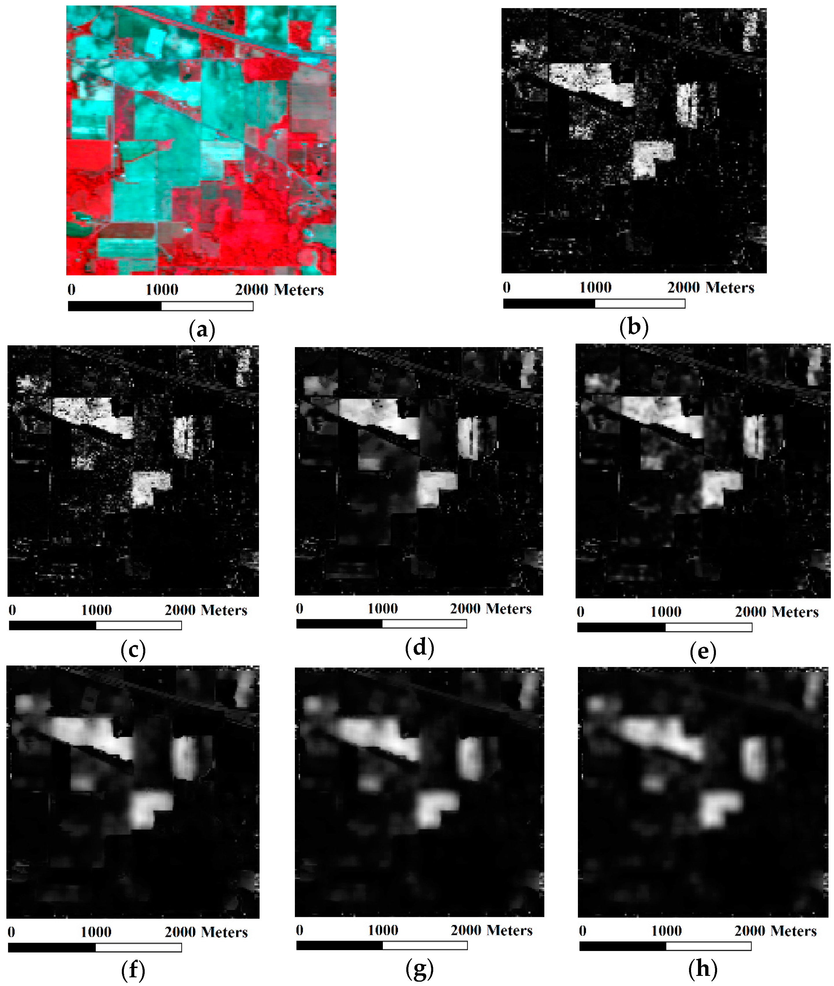 Remotesensing 08 00748 g013