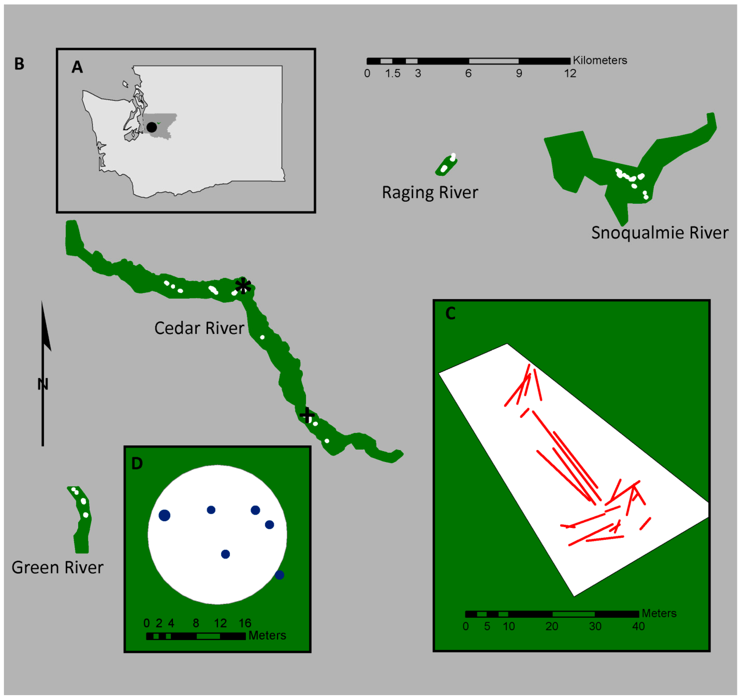 Remotesensing 08 00778 g001