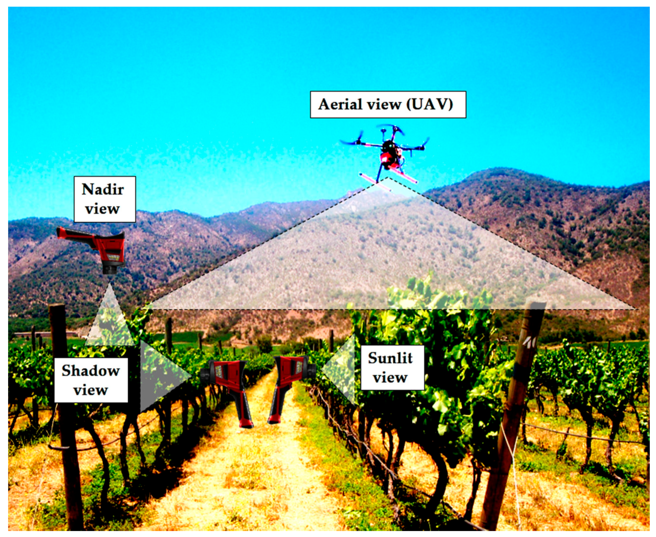 Remotesensing 08 00822 g001