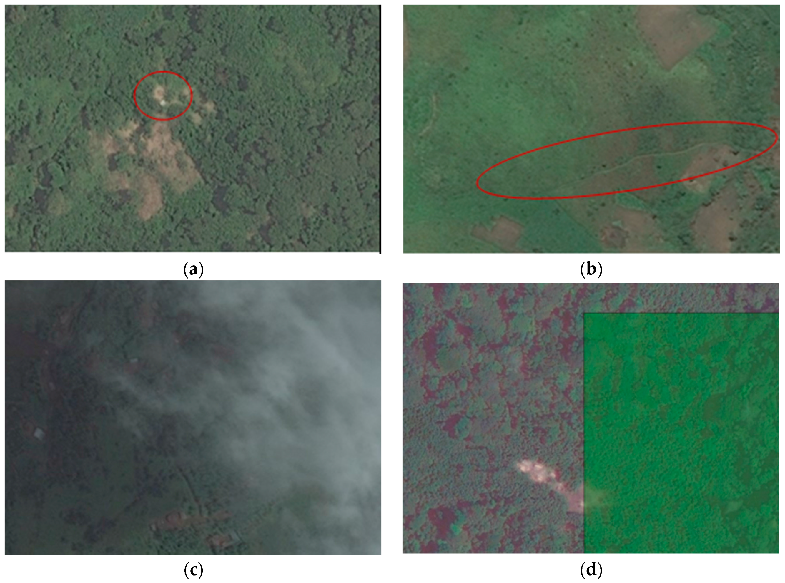 Remotesensing 08 00859 g012