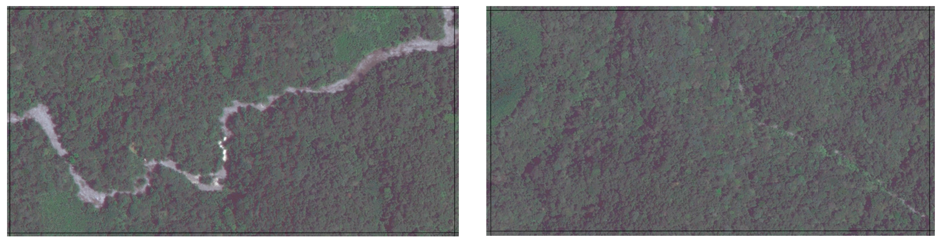 Remotesensing 08 00859 g014