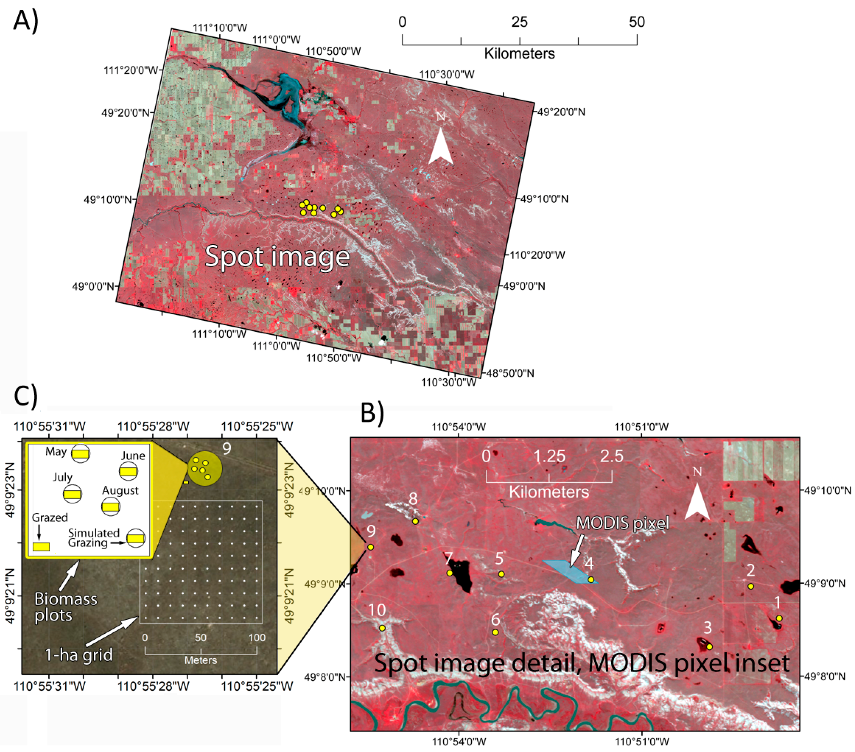 Remotesensing 08 00872 g002